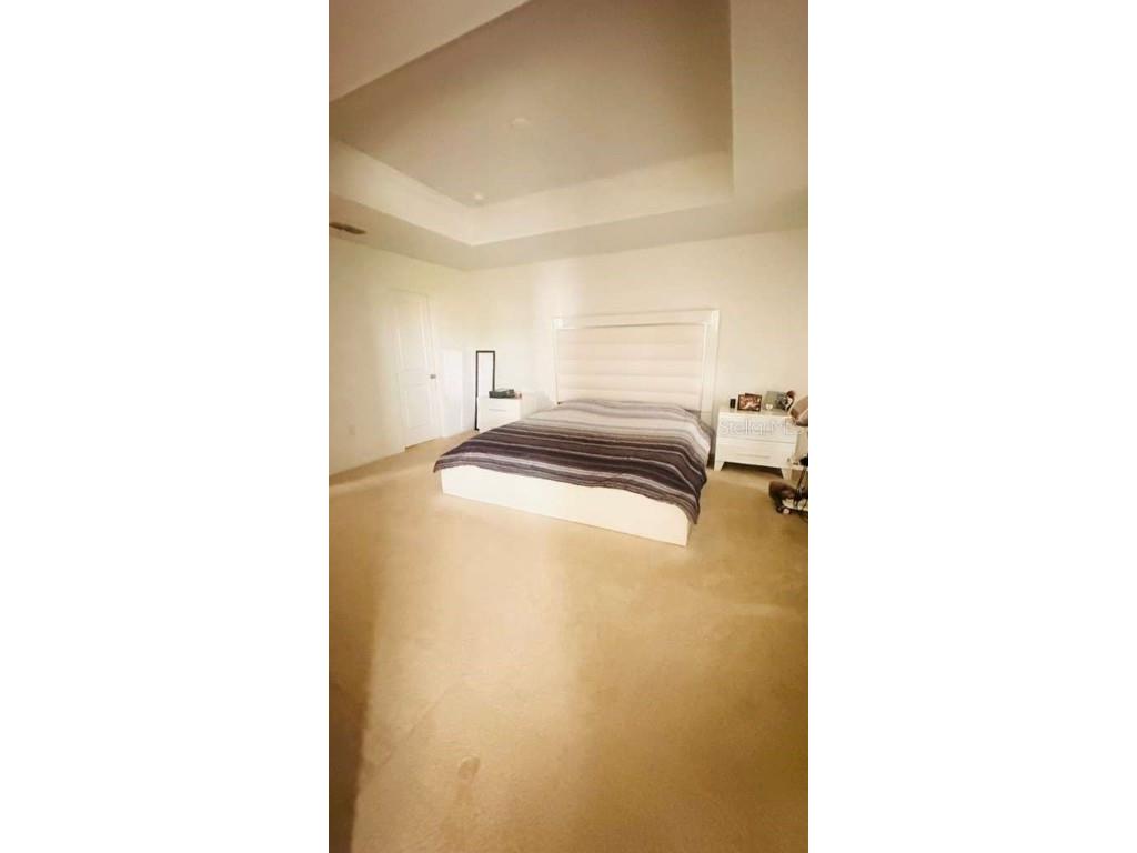 3166 Armstrong Spring Dr Kissimmee FL 34744 S5135636 image24