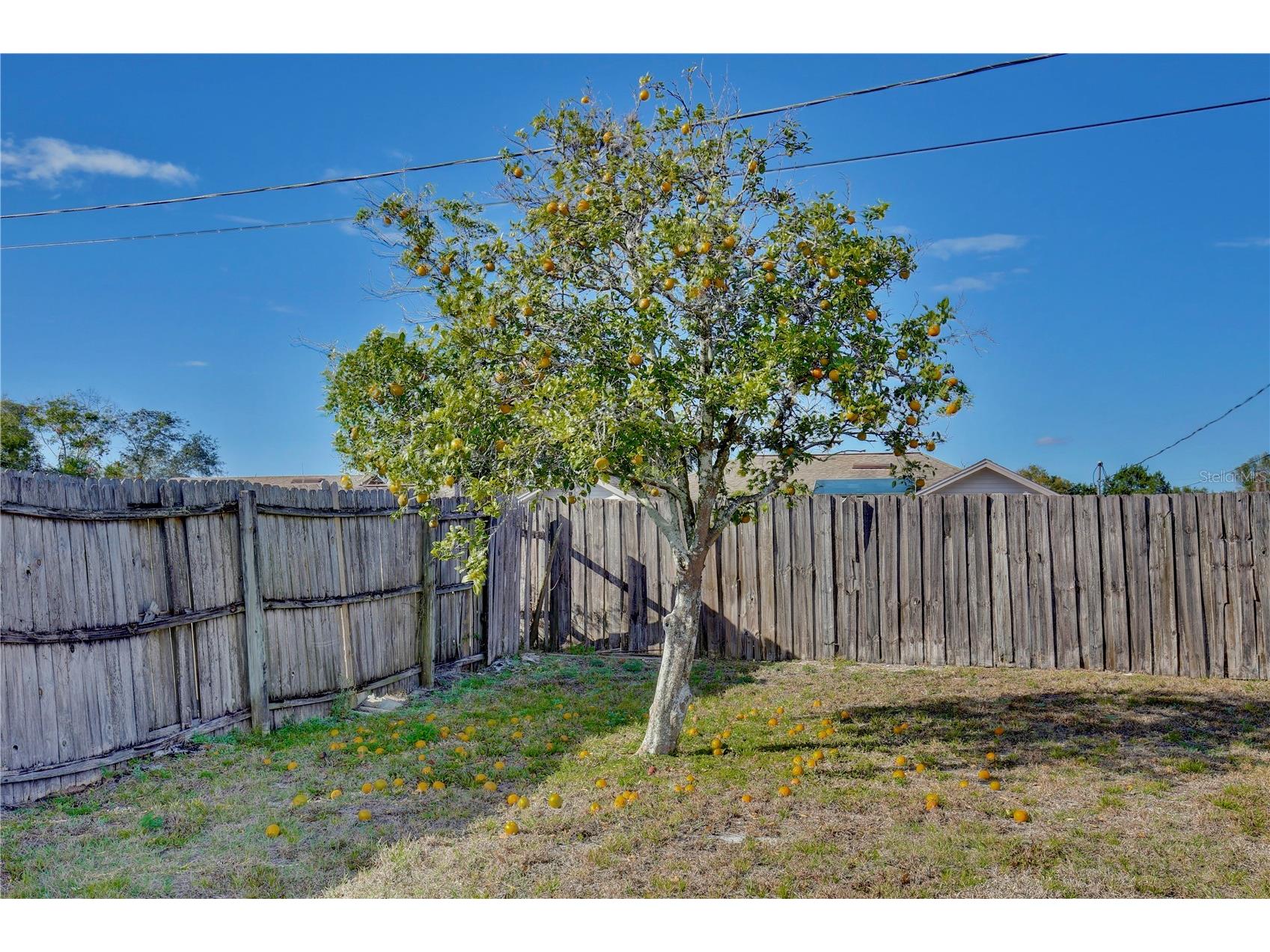 3166 Canby Drive Deltona FL 32738 O6375297 image20