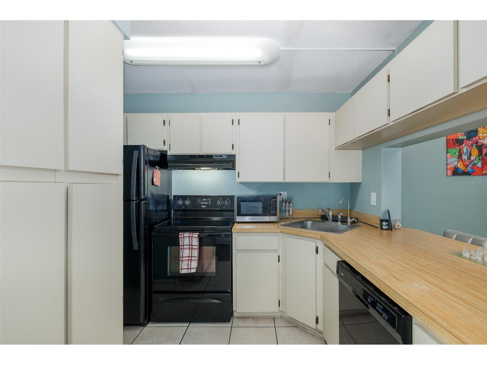 3166 Lake Pine Way S #A2 Tarpon Springs FL 34688 W7885853 image10