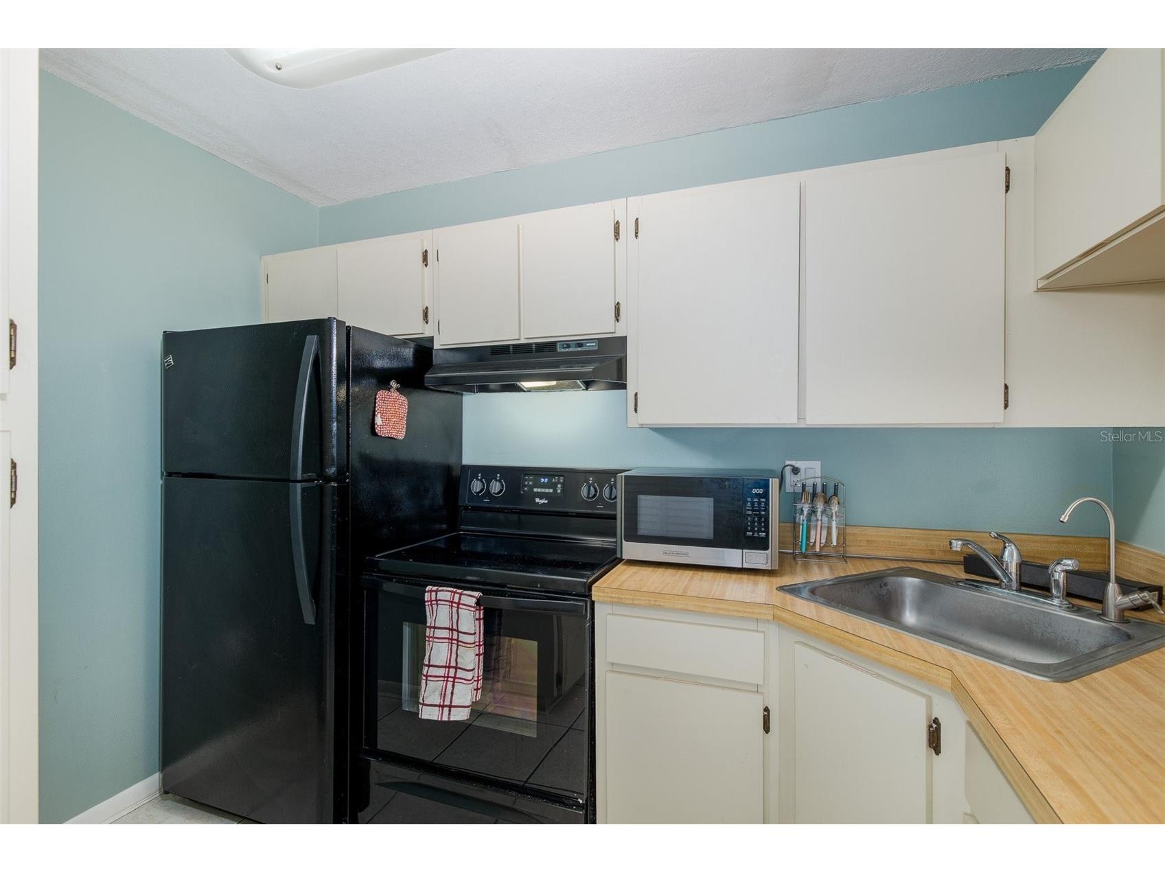 3166 Lake Pine Way S #A2 Tarpon Springs FL 34688 W7885853 image11