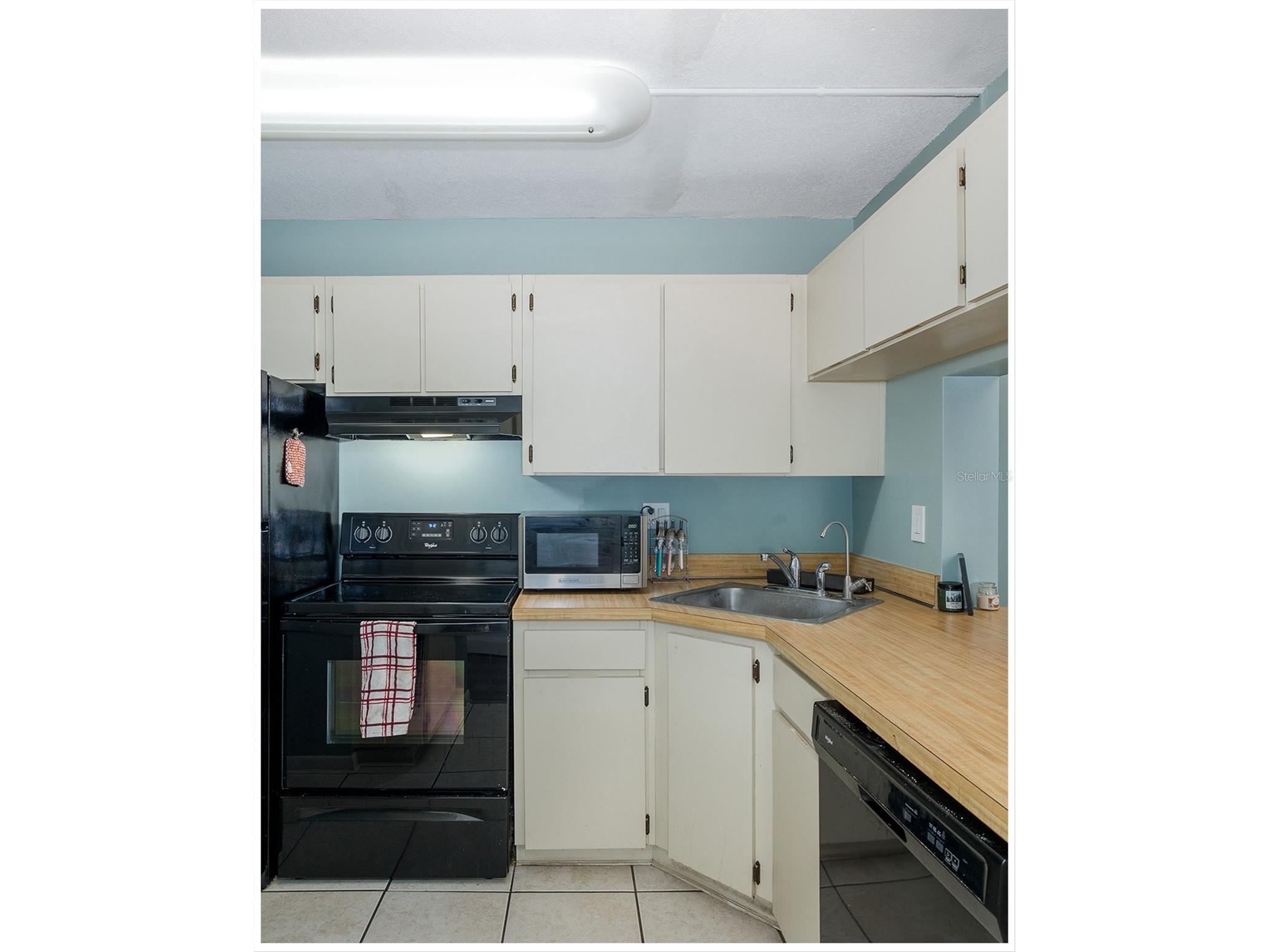 3166 Lake Pine Way S #A2 Tarpon Springs FL 34688 W7885853 image14