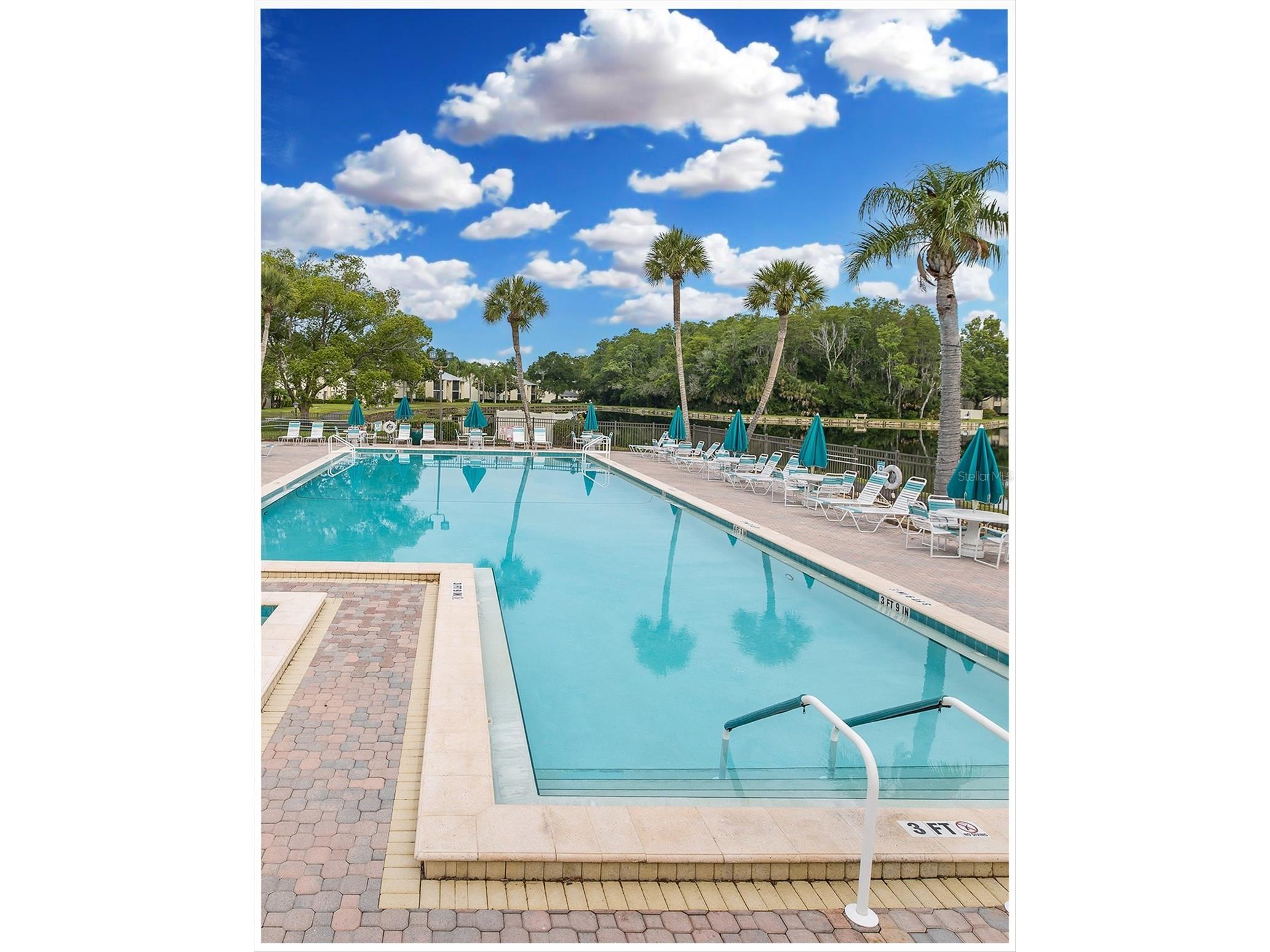 3166 Lake Pine Way S #A2 Tarpon Springs FL 34688 W7885853 image39