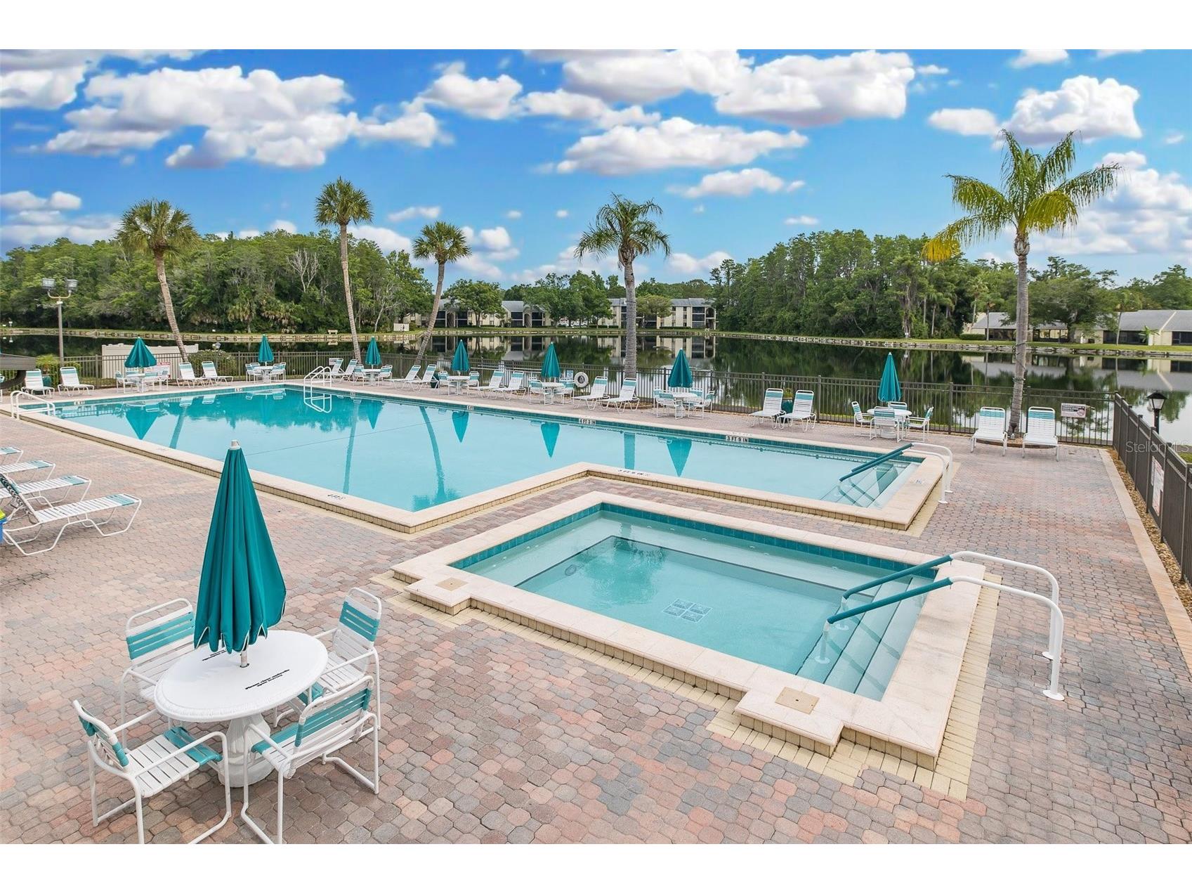 3166 Lake Pine Way S #A2 Tarpon Springs FL 34688 W7885853 image4