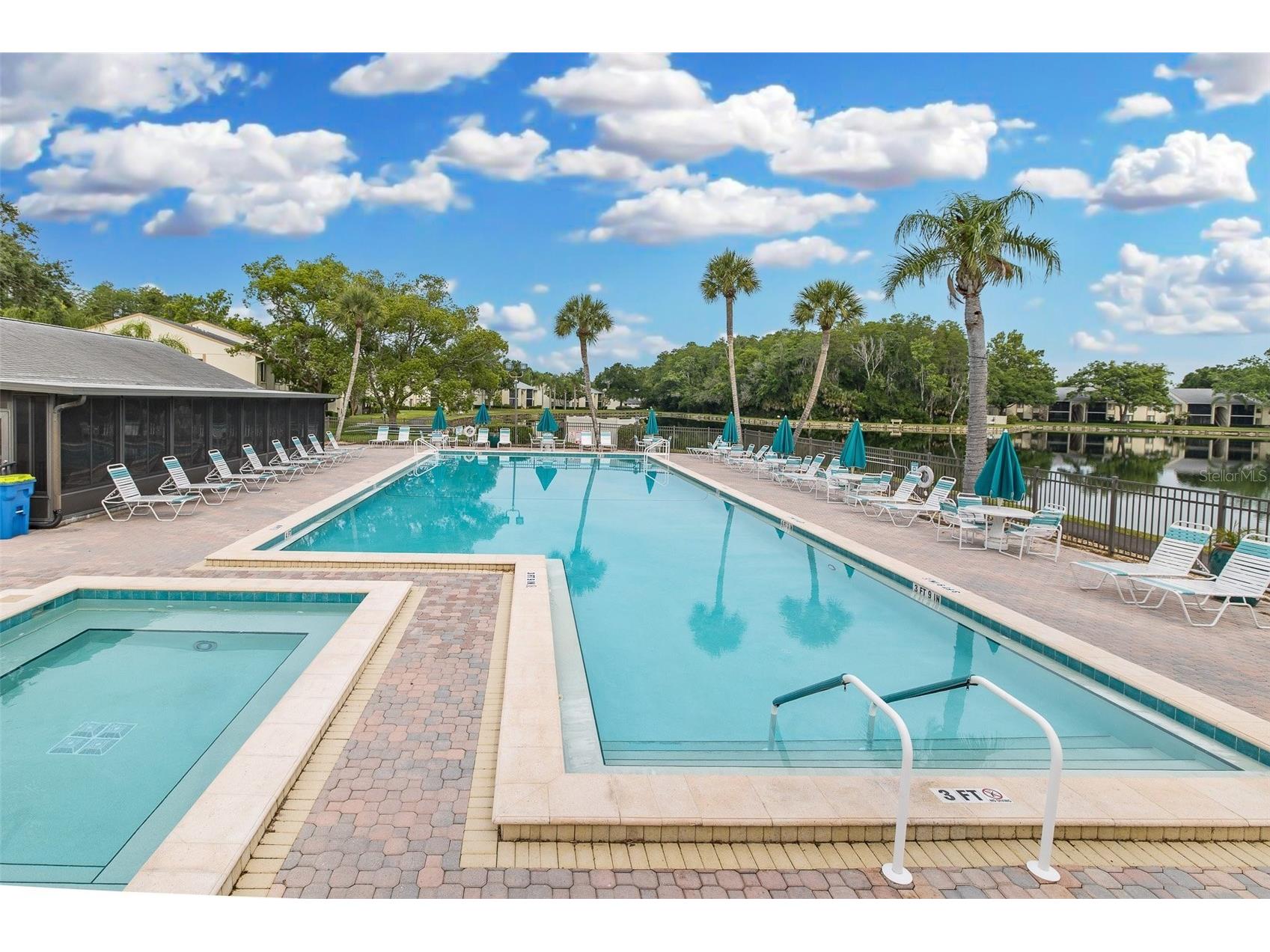 3166 Lake Pine Way S #A2 Tarpon Springs FL 34688 W7885853 image5