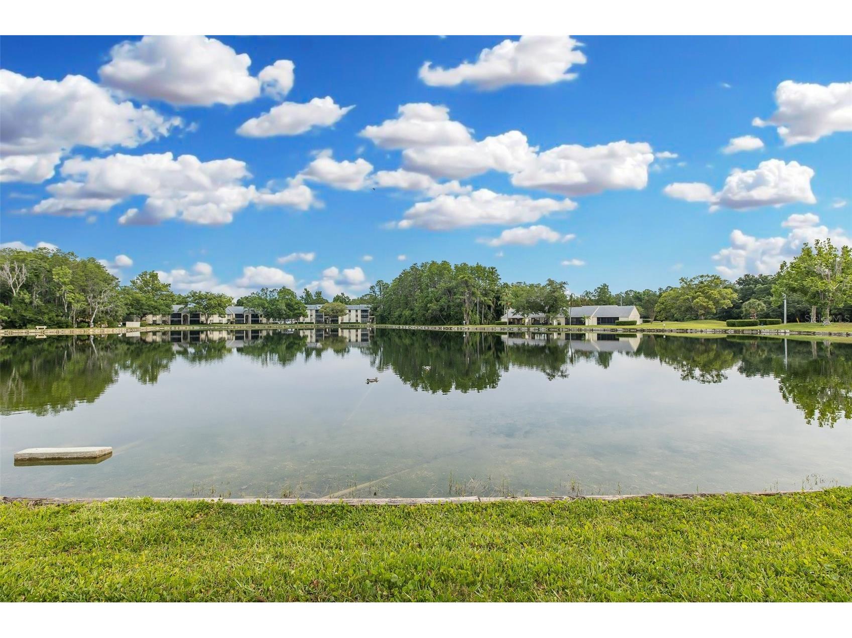 3166 Lake Pine Way S #A2 Tarpon Springs FL 34688 W7885853 image7