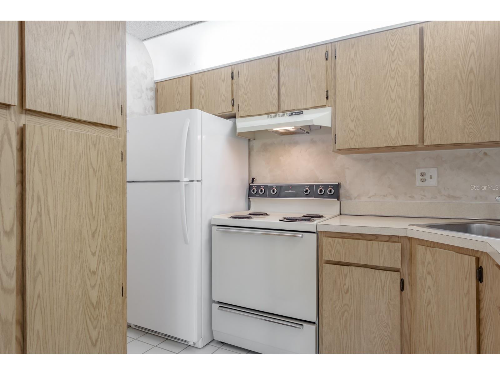 3166 Lake Pine Way S #E3 Tarpon Springs FL 34688 TB8492111 image15