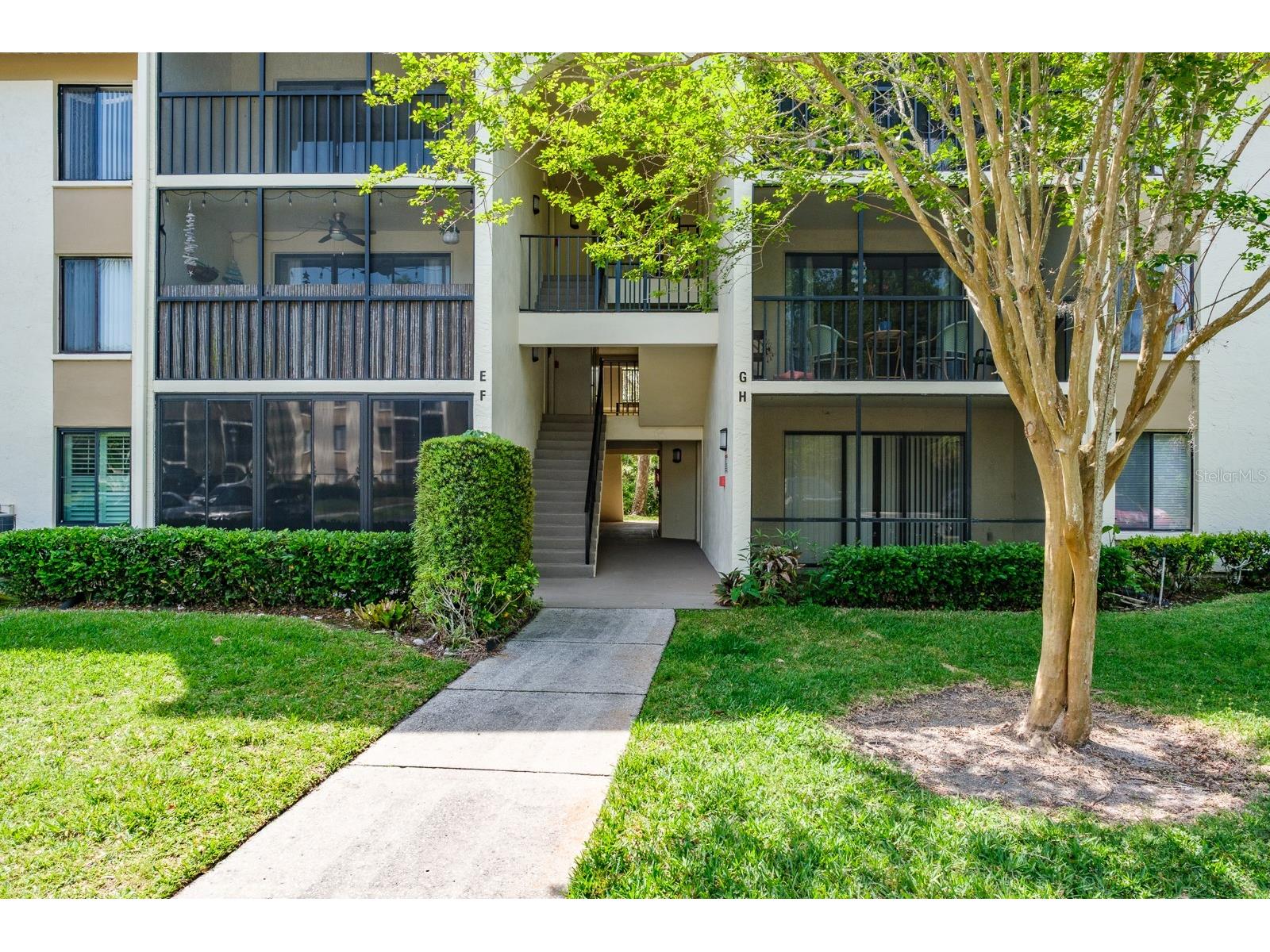 3166 Lake Pine Way S #E3 Tarpon Springs FL 34688 TB8492111 image3