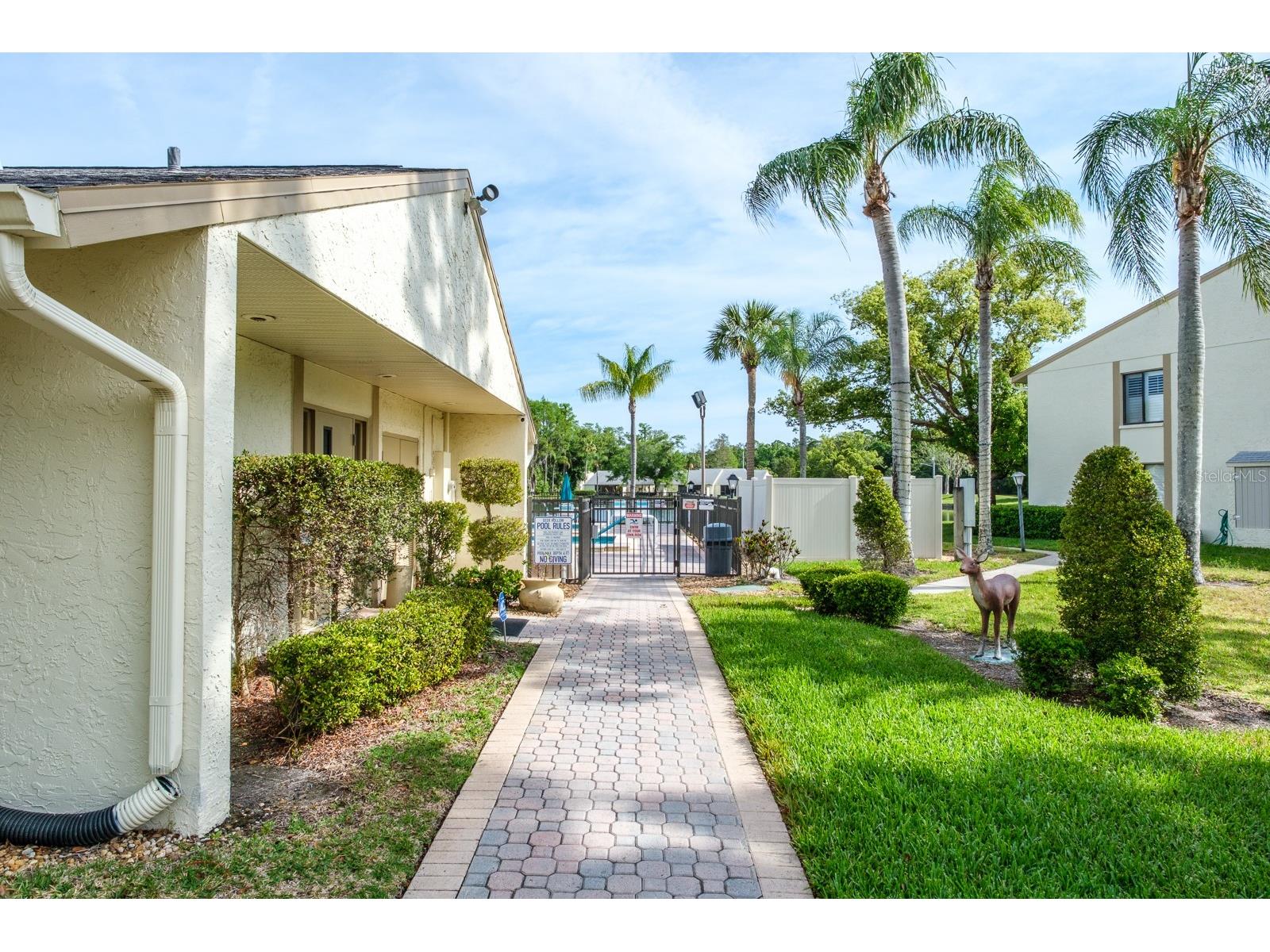 3166 Lake Pine Way S #E3 Tarpon Springs FL 34688 TB8492111 image37