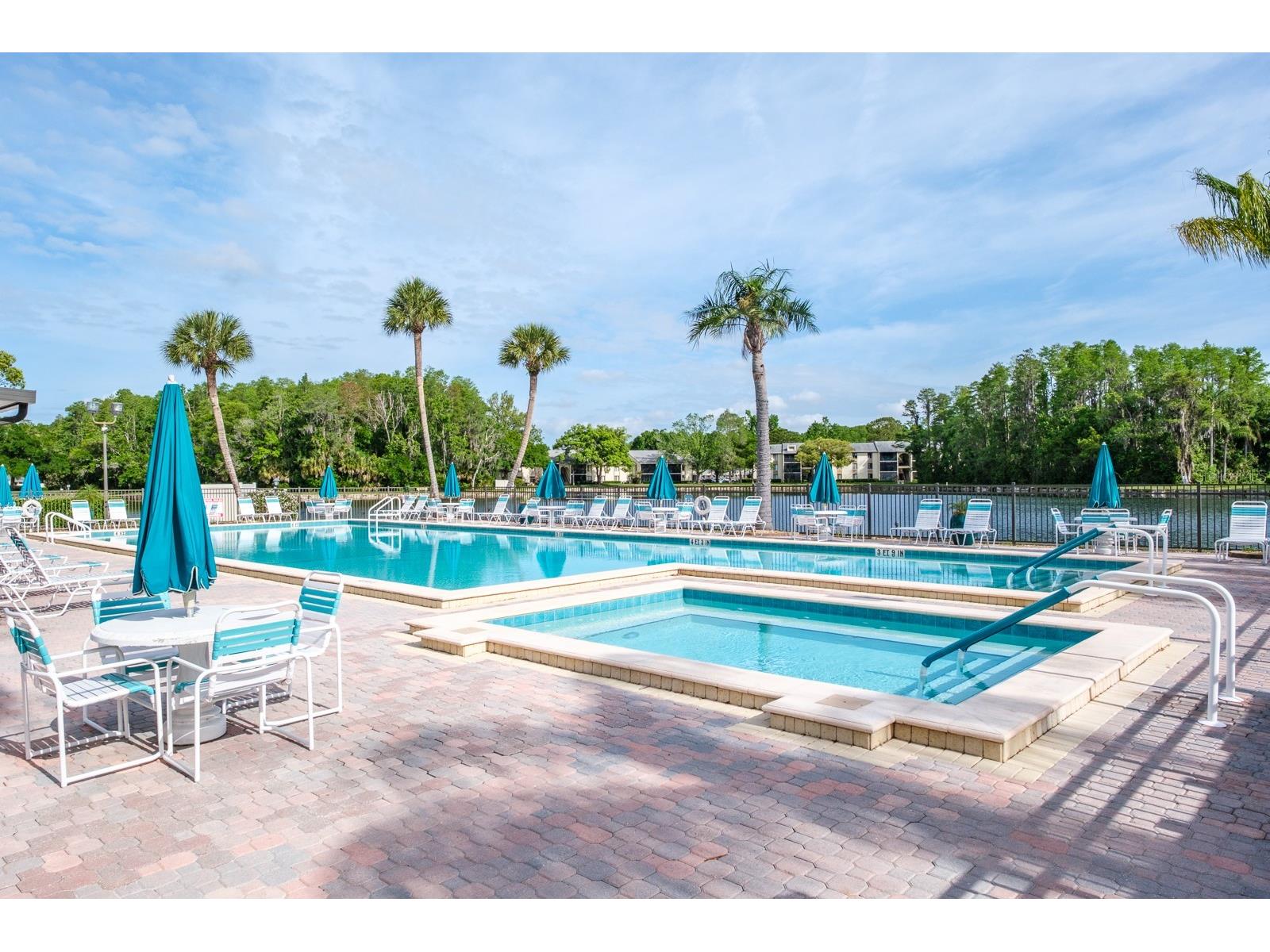 3166 Lake Pine Way S #E3 Tarpon Springs FL 34688 TB8492111 image38