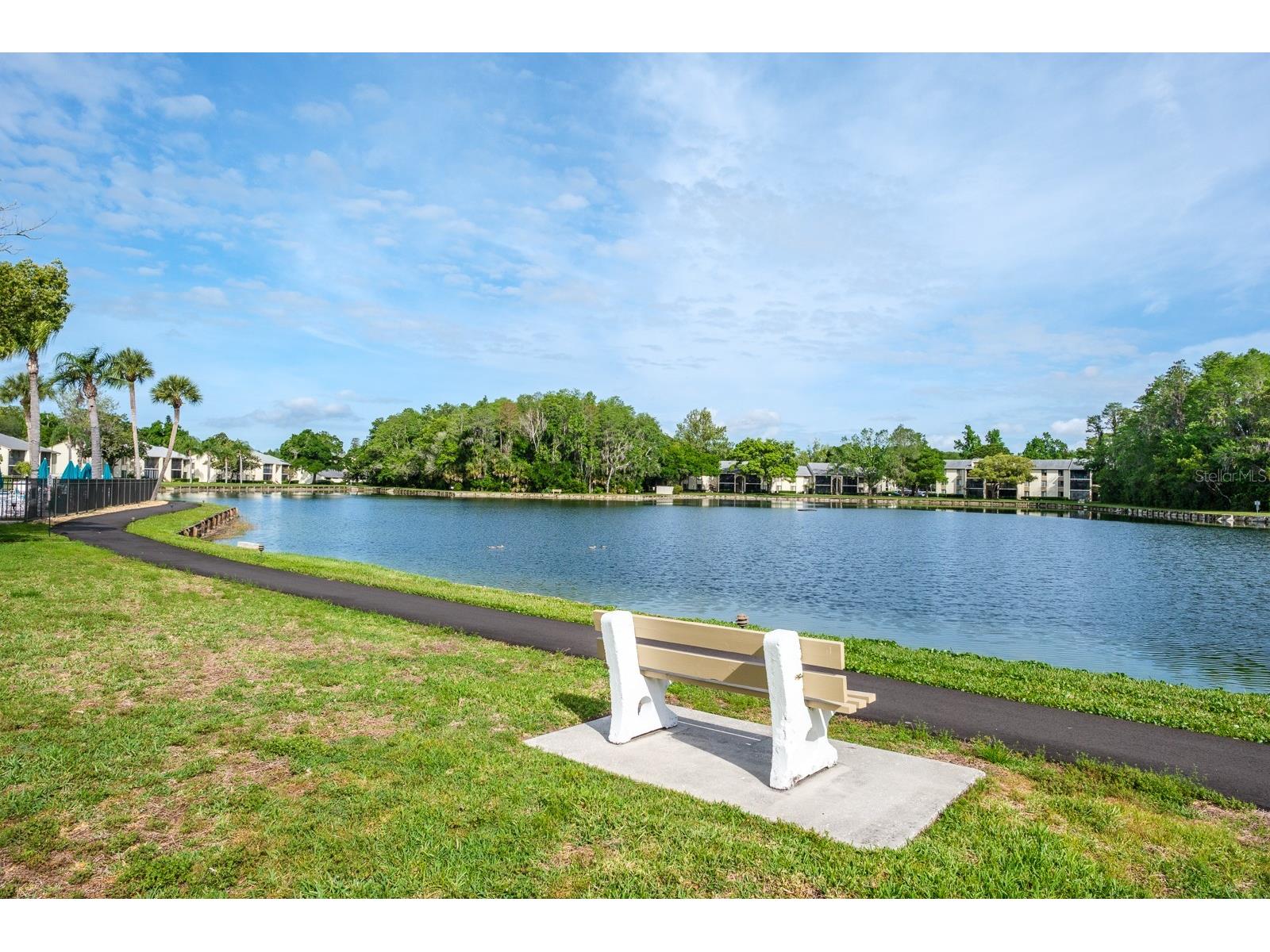 3166 Lake Pine Way S #E3 Tarpon Springs FL 34688 TB8492111 image42