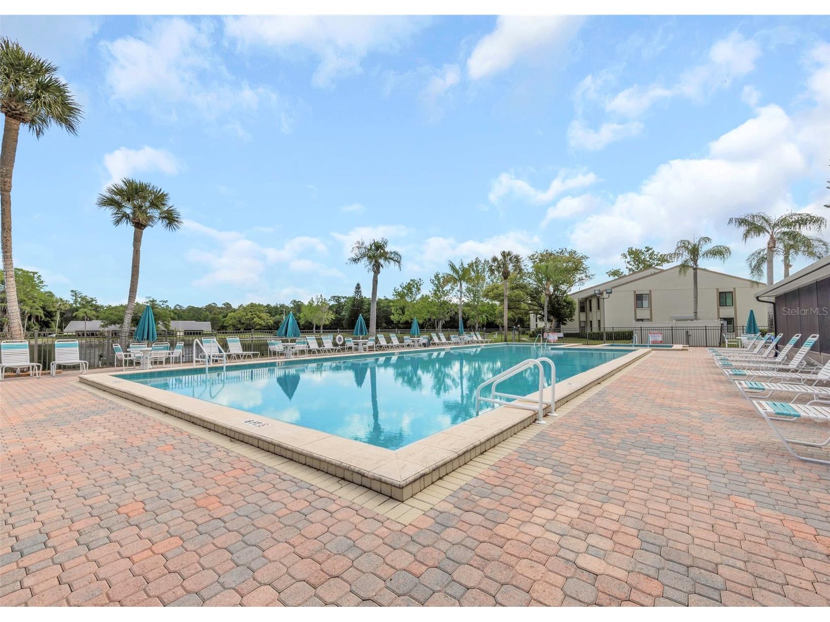 3166 Lake Pine Way S #H1 Tarpon Springs FL 34688 TB8496279 image39