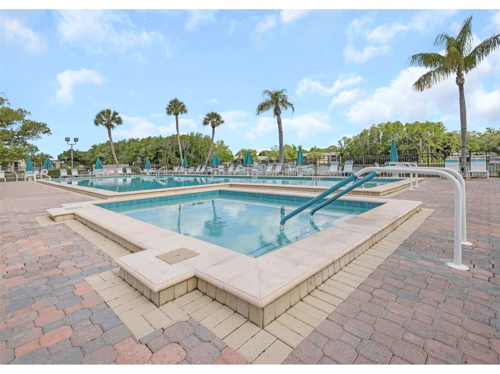 3166 Lake Pine Way S #H1 Tarpon Springs FL 34688 TB8496279 image41