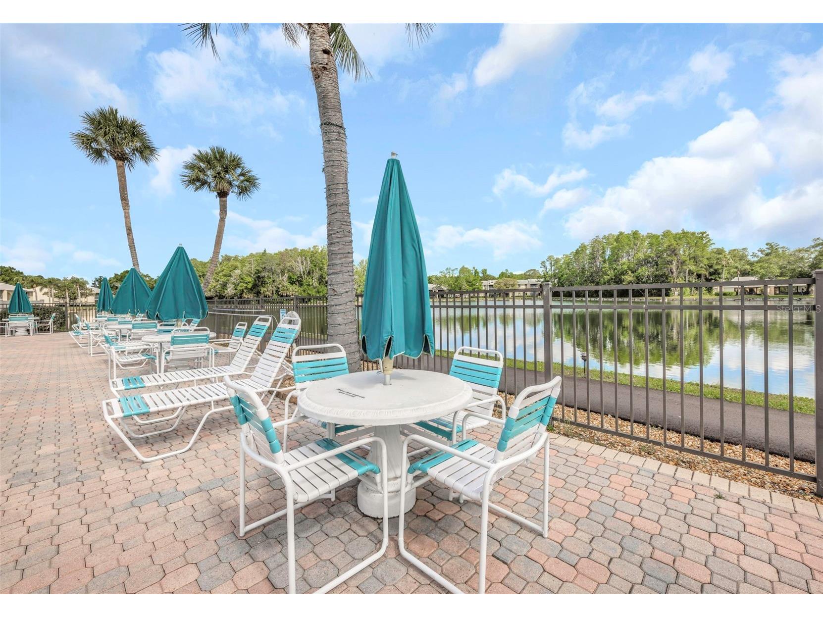 3166 Lake Pine Way S #H1 Tarpon Springs FL 34688 TB8496279 image42