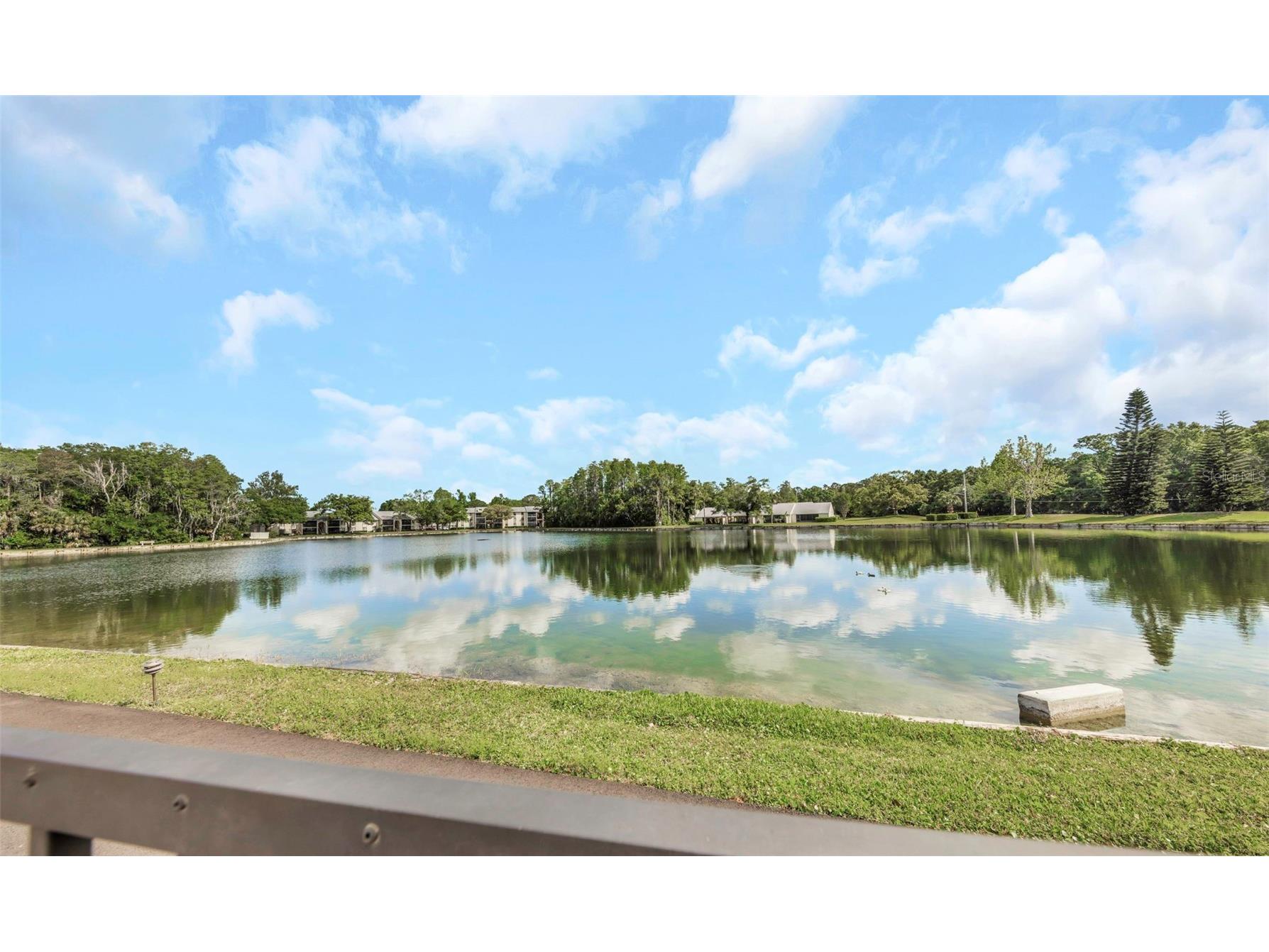 3166 Lake Pine Way S #H1 Tarpon Springs FL 34688 TB8496279 image45