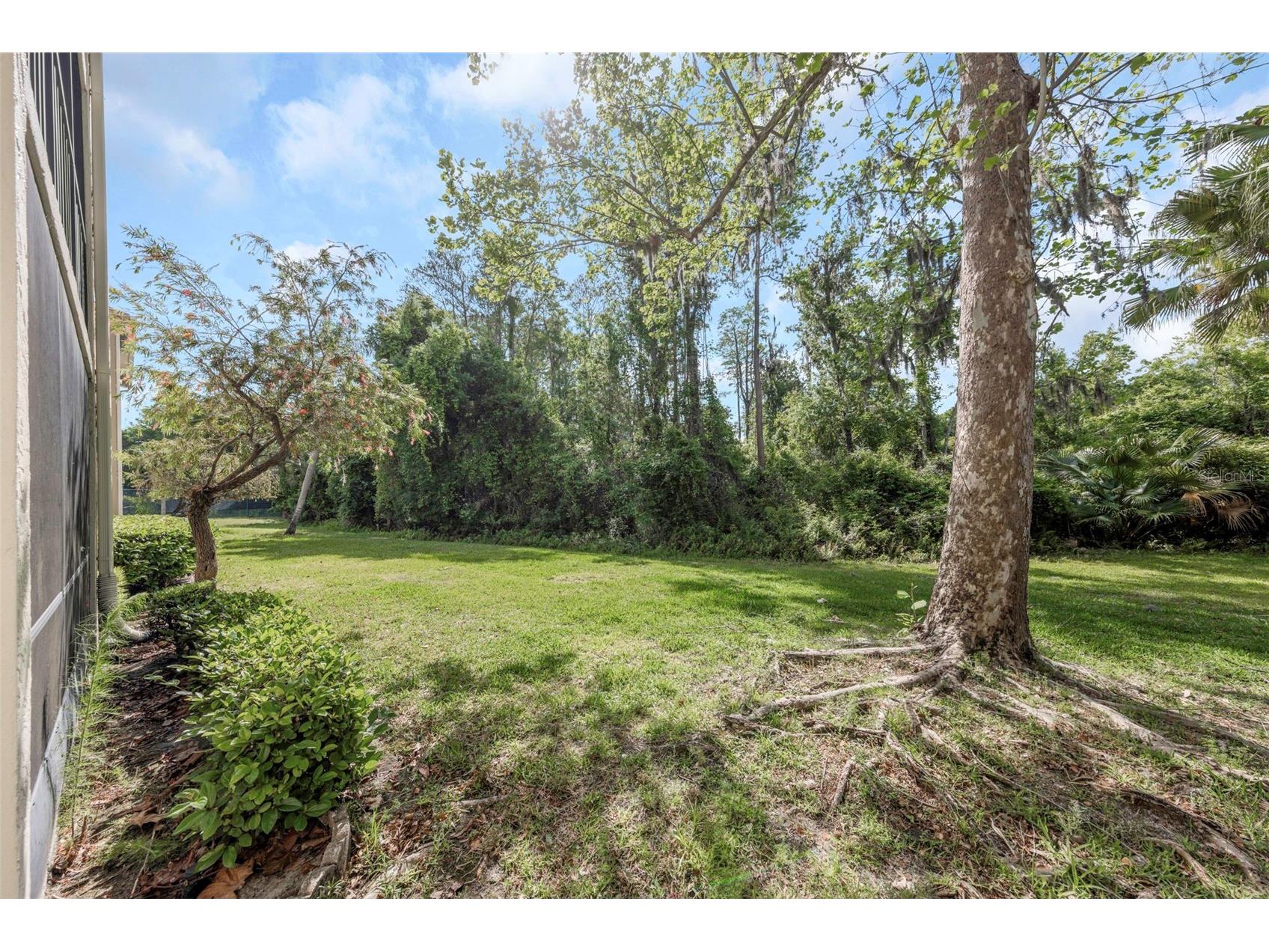 3166 Lake Pine Way S #H1 Tarpon Springs FL 34688 TB8496279 image46