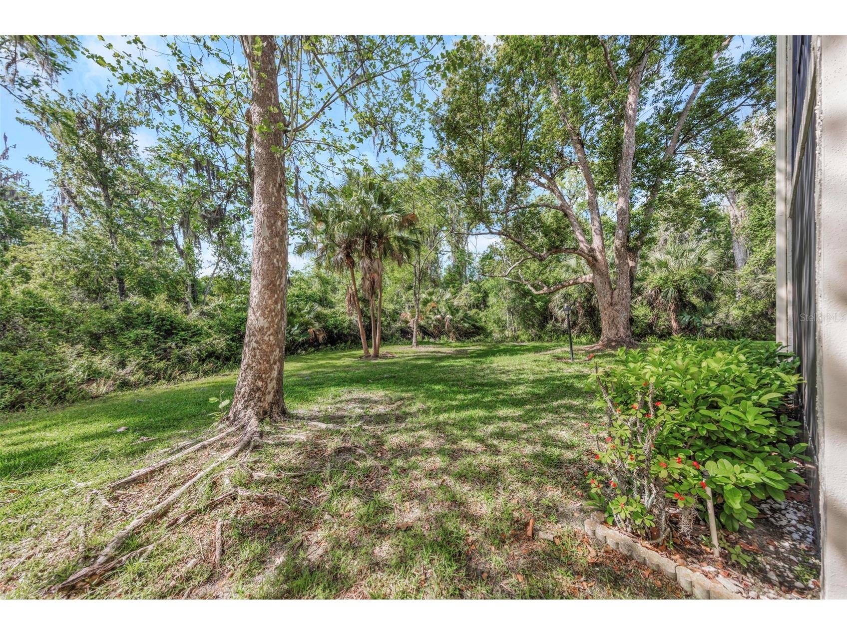 3166 Lake Pine Way S #H1 Tarpon Springs FL 34688 TB8496279 image47