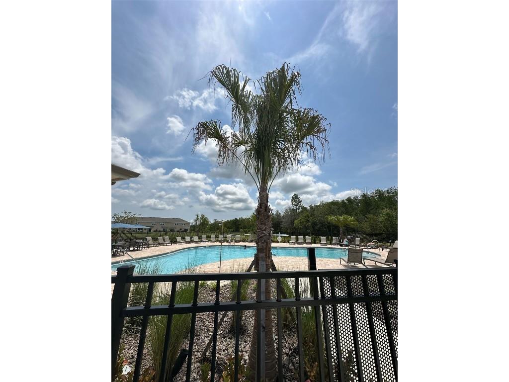 3166 Skyline Loop Kissimmee FL 34758 S5139741 image4