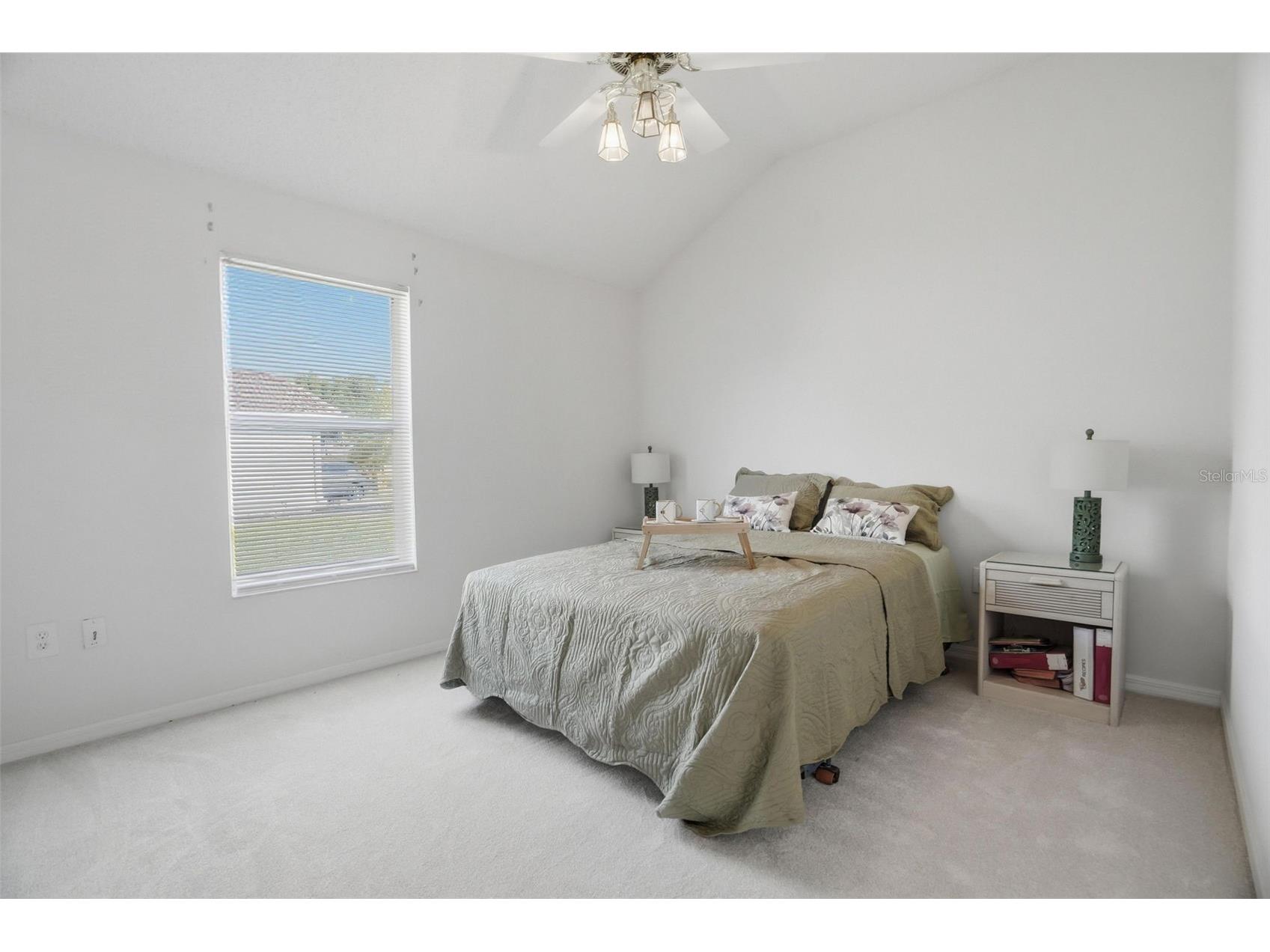 3166 Sterling Street Tarpon Springs FL 34688 TB8513669 image30