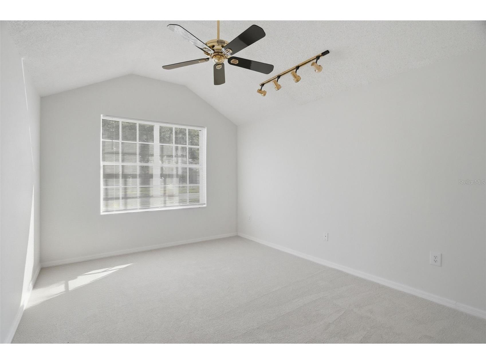 3166 Sterling Street Tarpon Springs FL 34688 TB8513669 image31