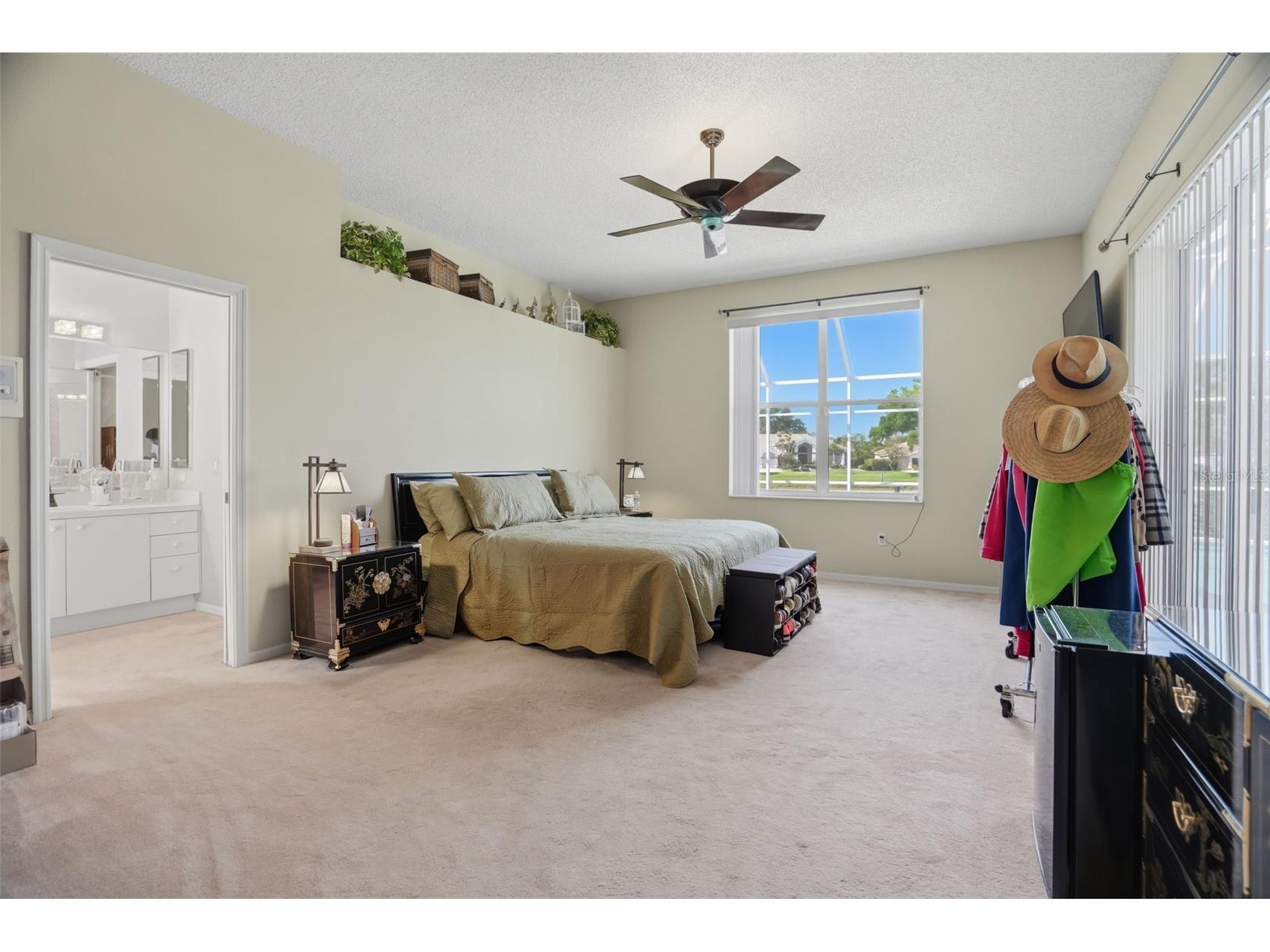 3166 Sterling Street Tarpon Springs FL 34688 TB8513669 image34