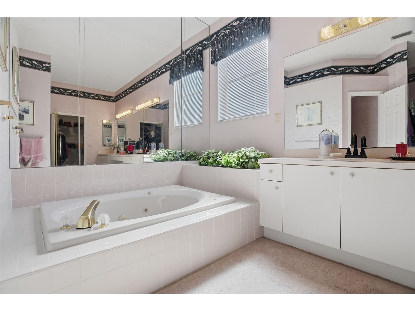 3166 Sterling Street Tarpon Springs FL 34688 TB8513669 image39