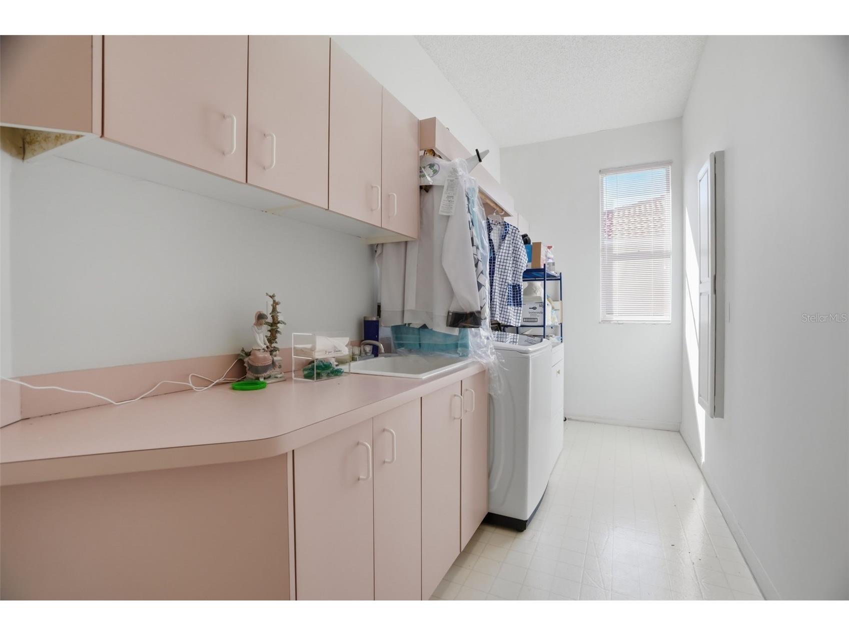 3166 Sterling Street Tarpon Springs FL 34688 TB8513669 image41