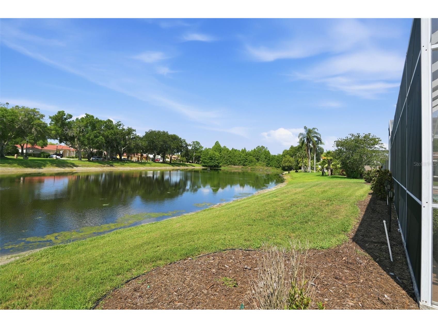 3166 Sterling Street Tarpon Springs FL 34688 TB8513669 image55