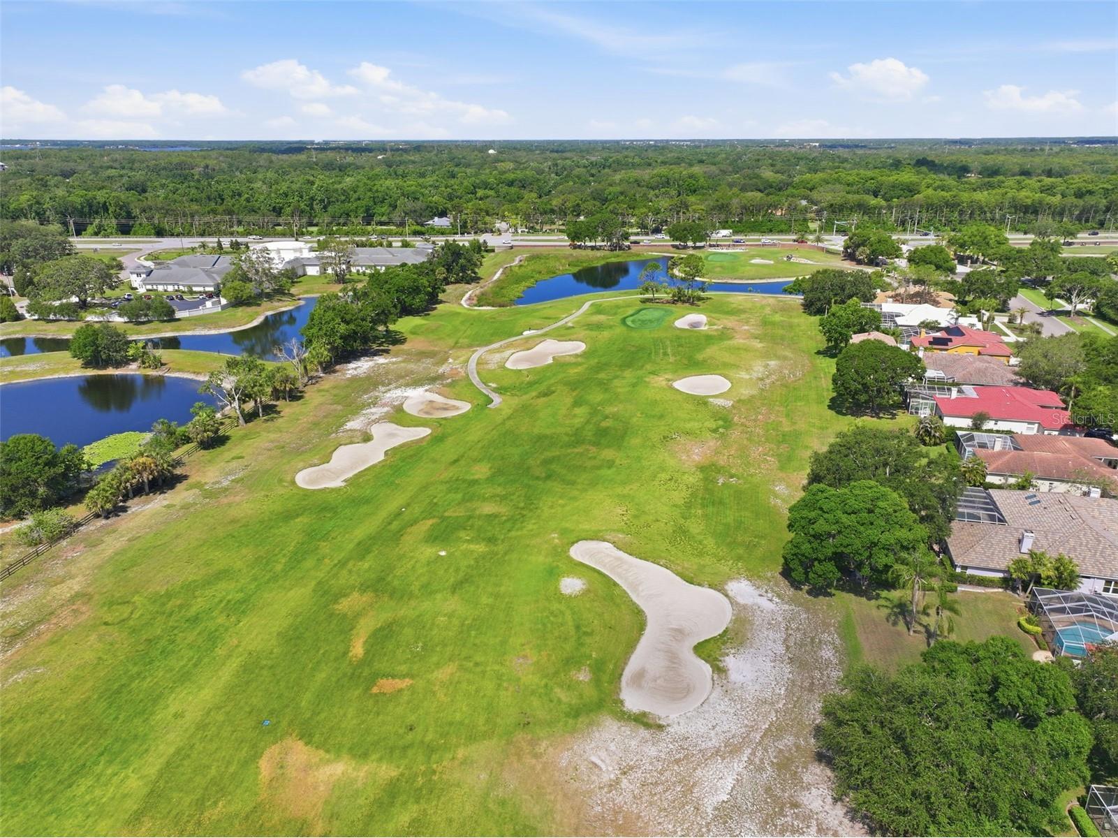 3166 Sterling Street Tarpon Springs FL 34688 TB8513669 image61