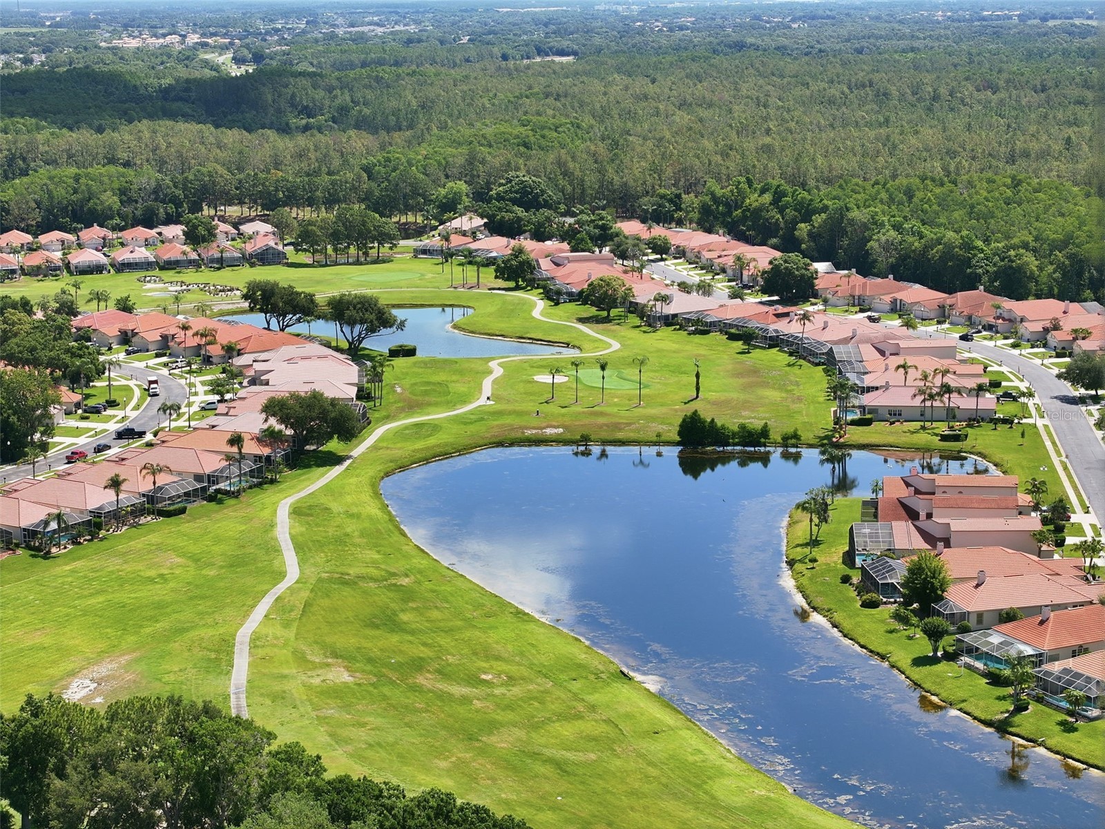 3166 Sterling Street Tarpon Springs FL 34688 TB8513669 image63