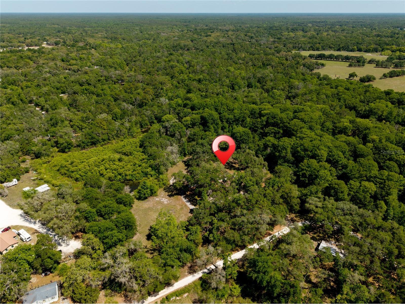 3166 Turtle Street Dade City FL 33523 - WITHLACOOCHEE RIVER W7884834 image10