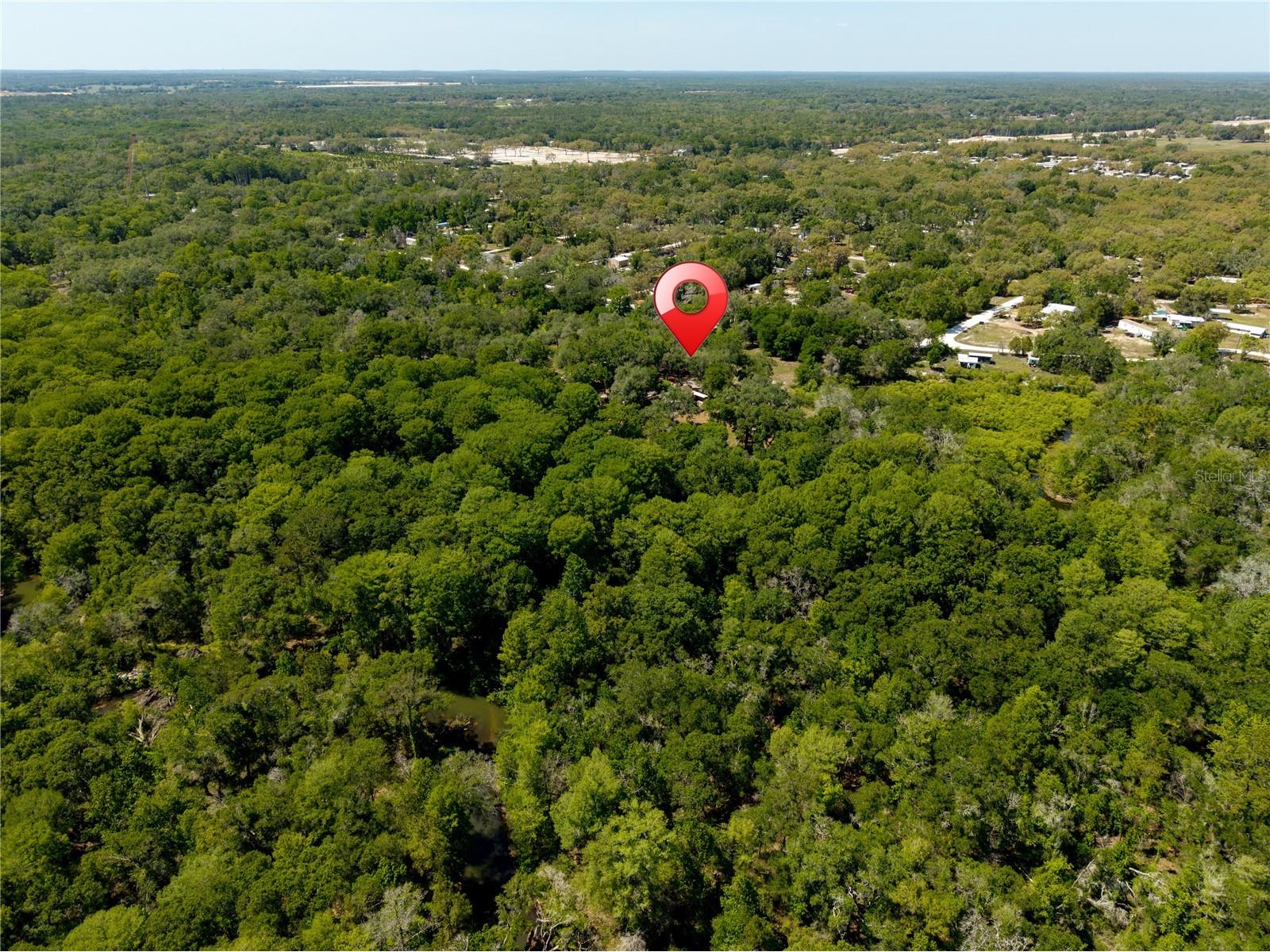 3166 Turtle Street Dade City FL 33523 - WITHLACOOCHEE RIVER W7884834 image11