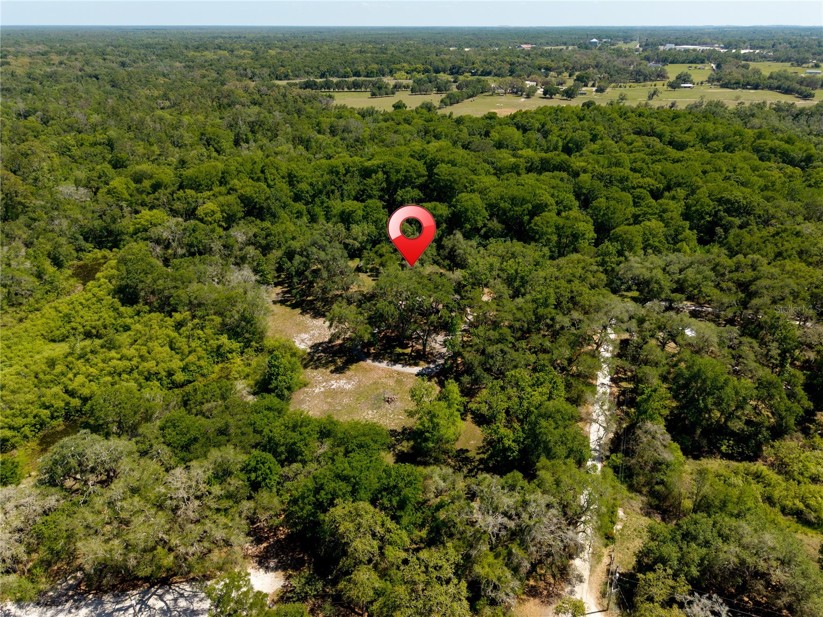 3166 Turtle Street Dade City FL 33523 - WITHLACOOCHEE RIVER W7884834 image13