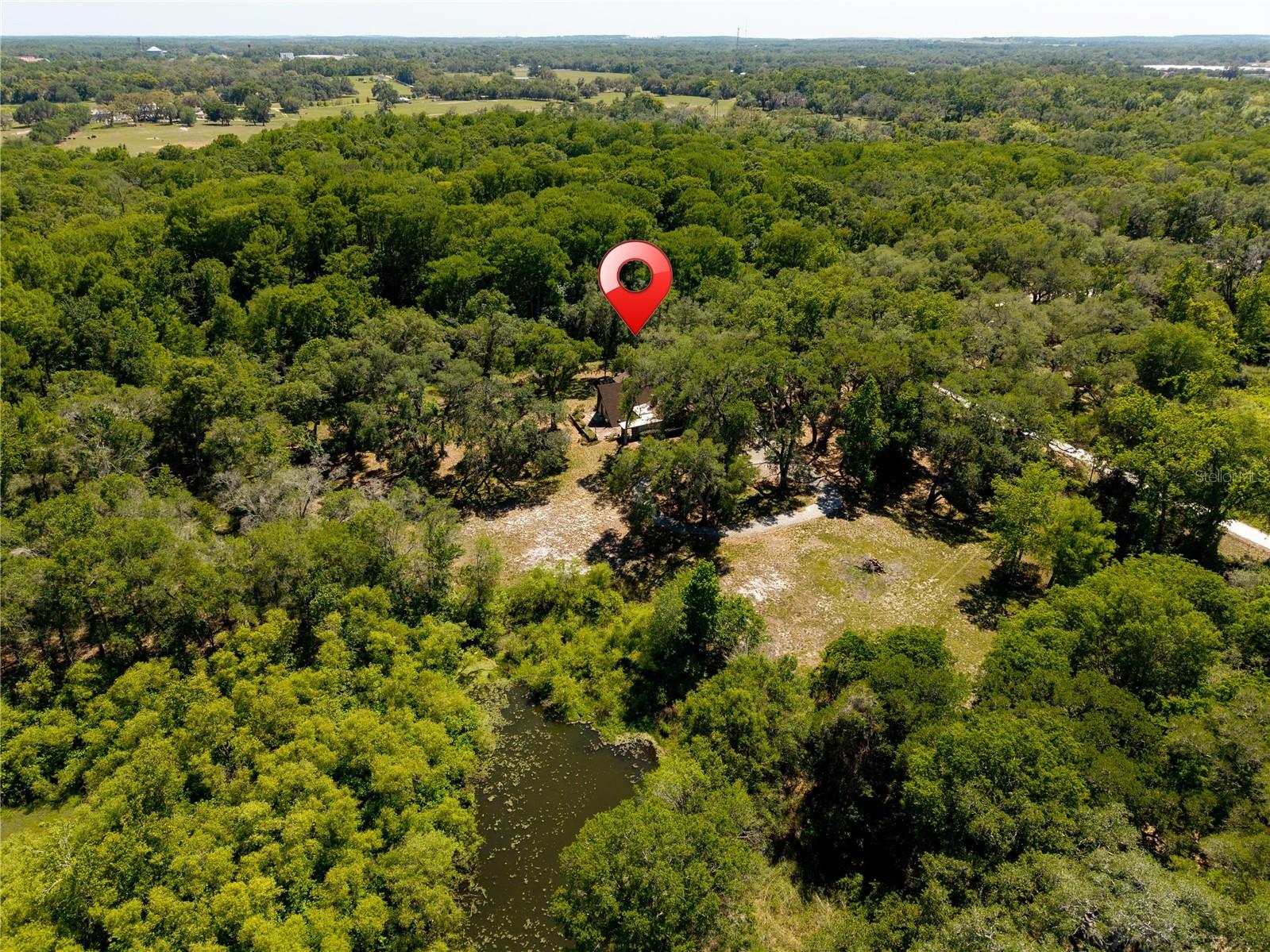 3166 Turtle Street Dade City FL 33523 - WITHLACOOCHEE RIVER W7884834 image14