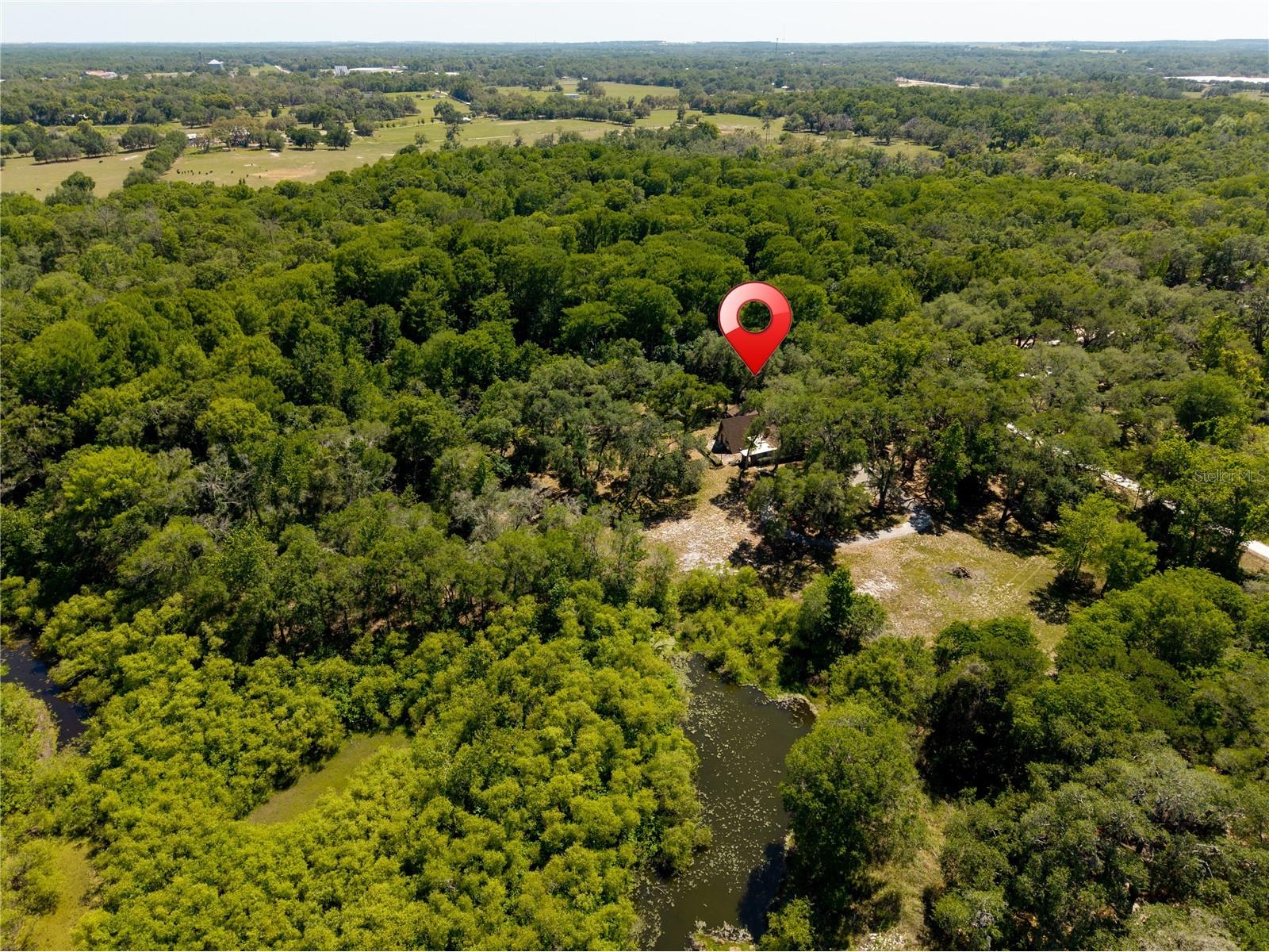 3166 Turtle Street Dade City FL 33523 - WITHLACOOCHEE RIVER W7884834 image16