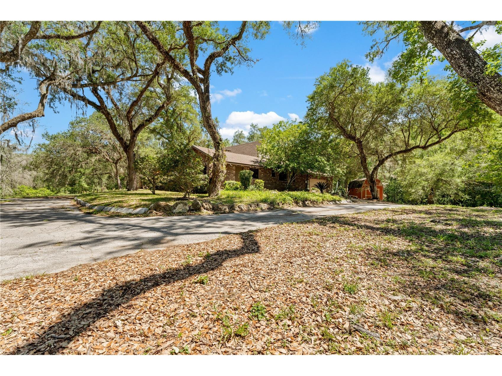 3166 Turtle Street Dade City FL 33523 - WITHLACOOCHEE RIVER W7884834 image56