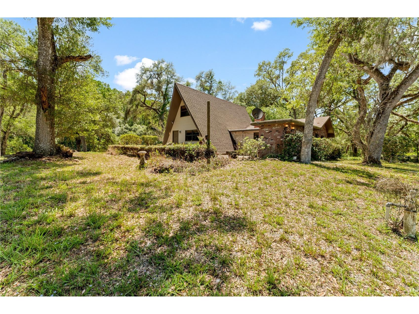3166 Turtle Street Dade City FL 33523 - WITHLACOOCHEE RIVER W7884834 image57