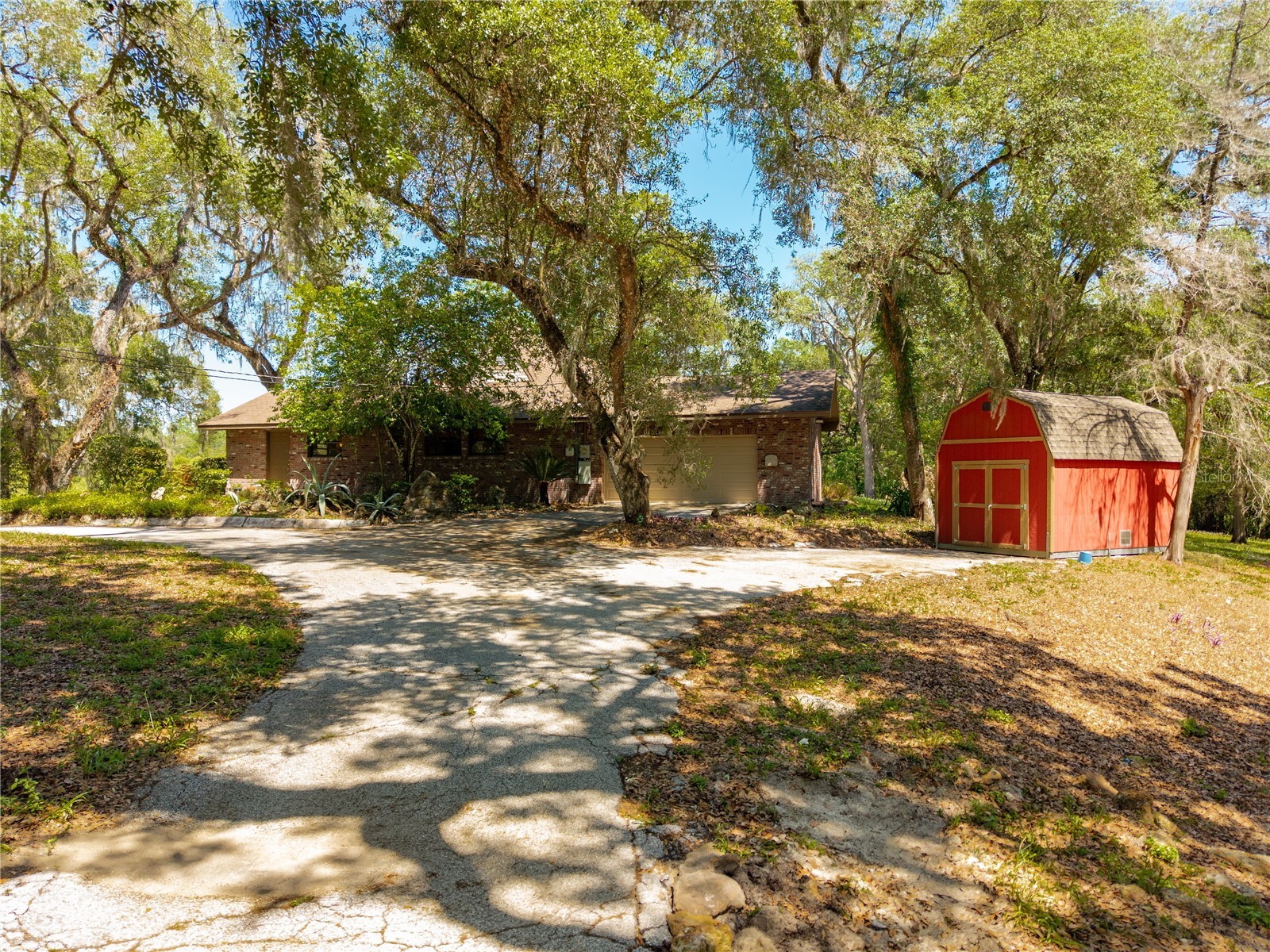 3166 Turtle Street Dade City FL 33523 - WITHLACOOCHEE RIVER W7884834 image6
