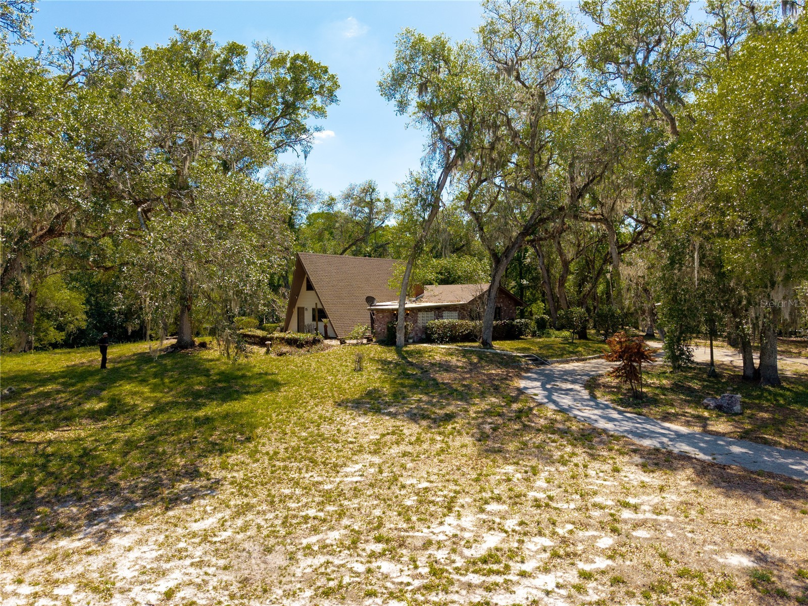 3166 Turtle Street Dade City FL 33523 - WITHLACOOCHEE RIVER W7884834 image9