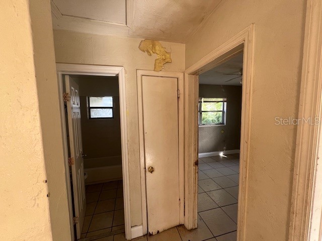 3167 6th Avenue S Saint Petersburg FL 33712 TB8403971 image10