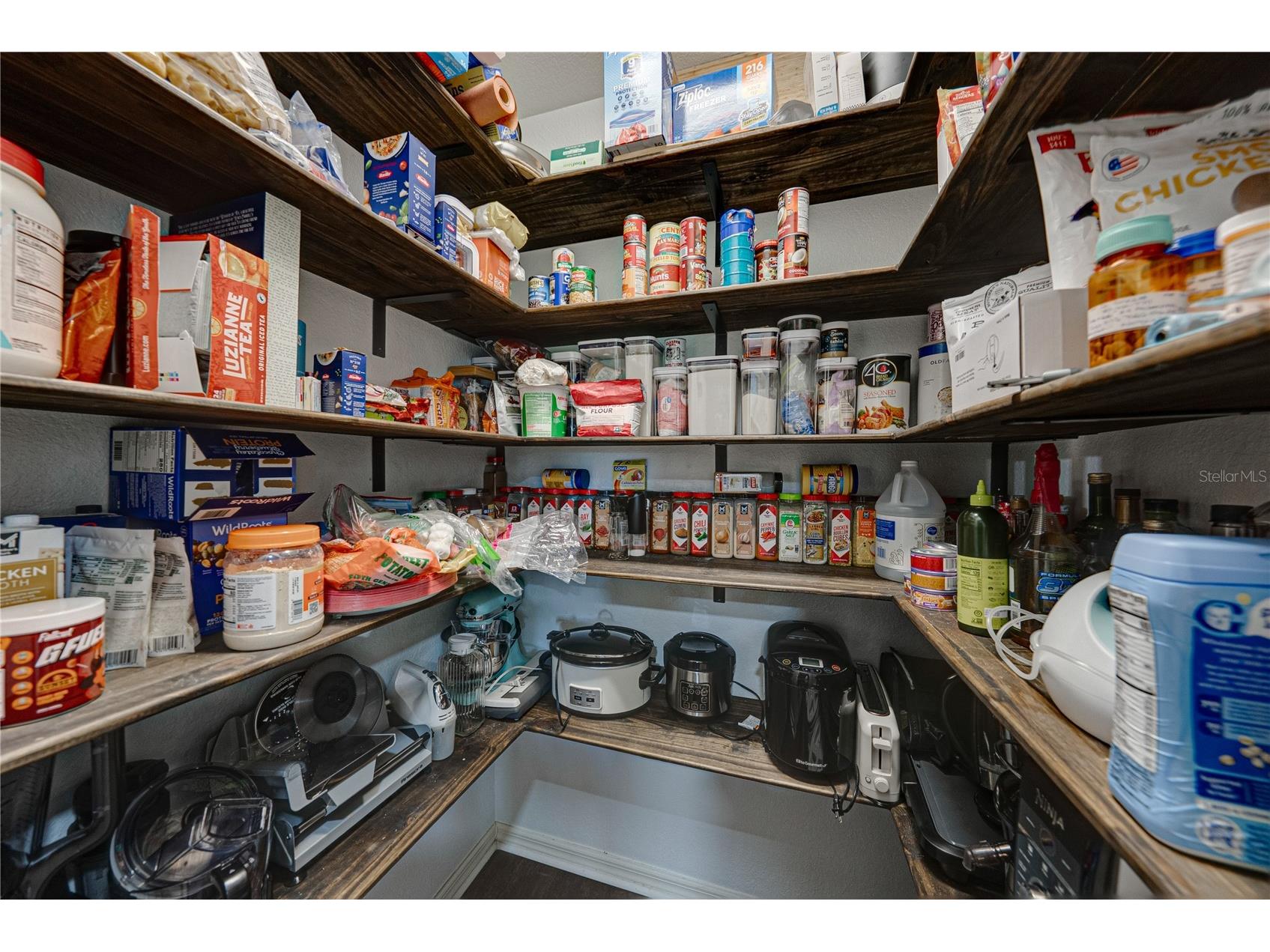 3167 Blackwater Oaks Way Mulberry FL 33860 - Blackwater TB8498703 image25