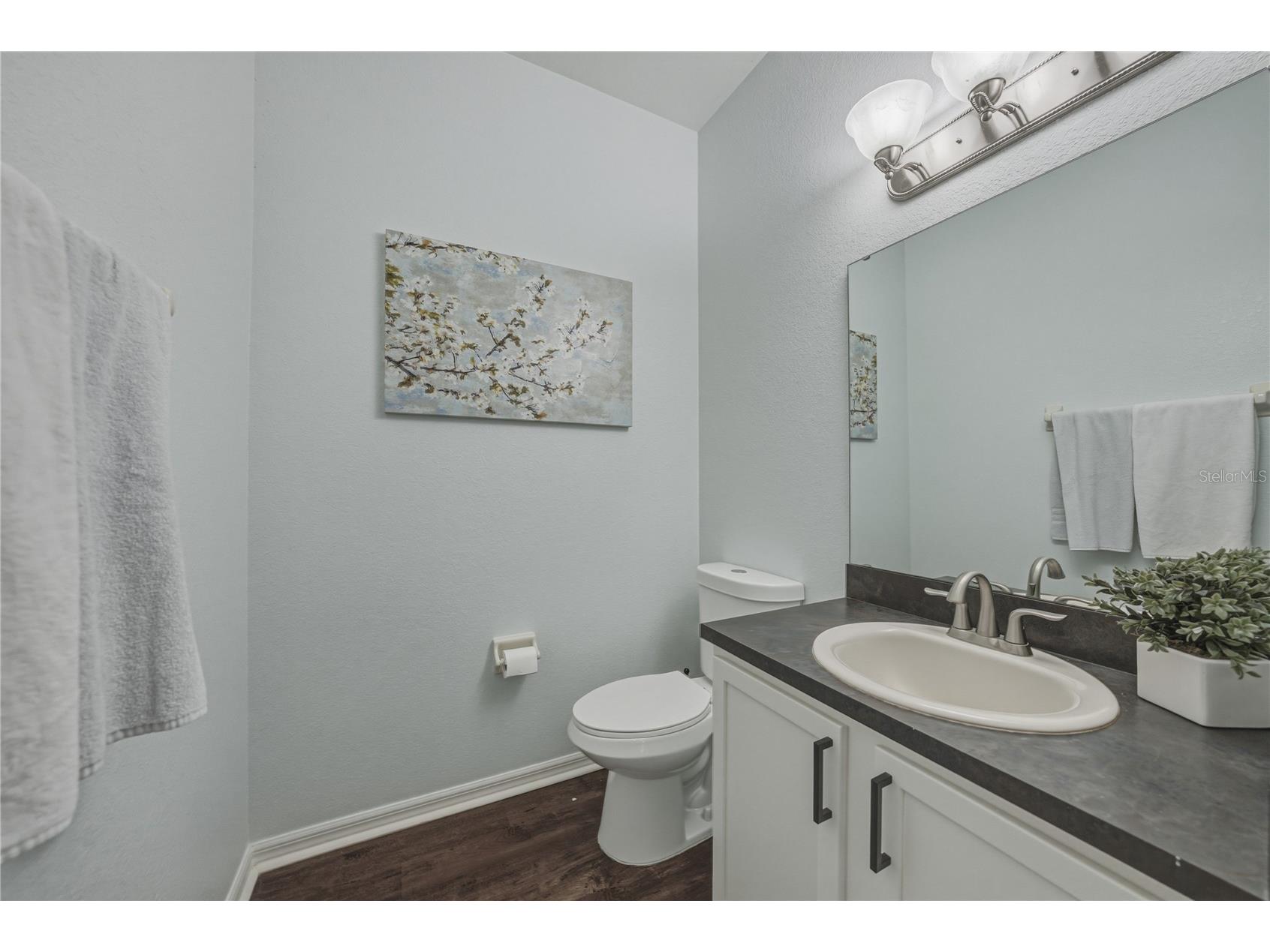 3167 Blackwater Oaks Way Mulberry FL 33860 - Blackwater TB8498703 image30