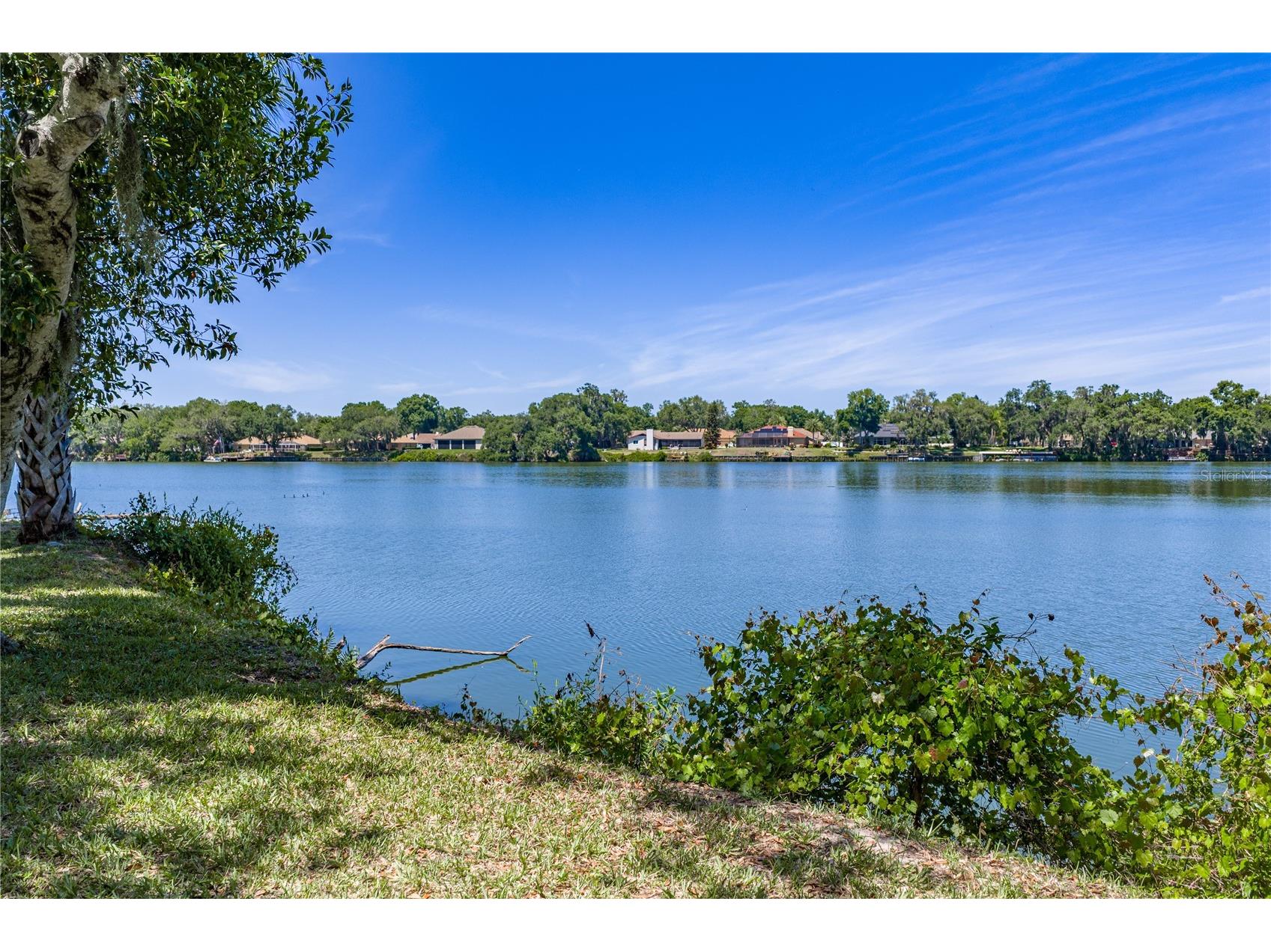 3167 Blackwater Oaks Way Mulberry FL 33860 - Blackwater TB8498703 image70