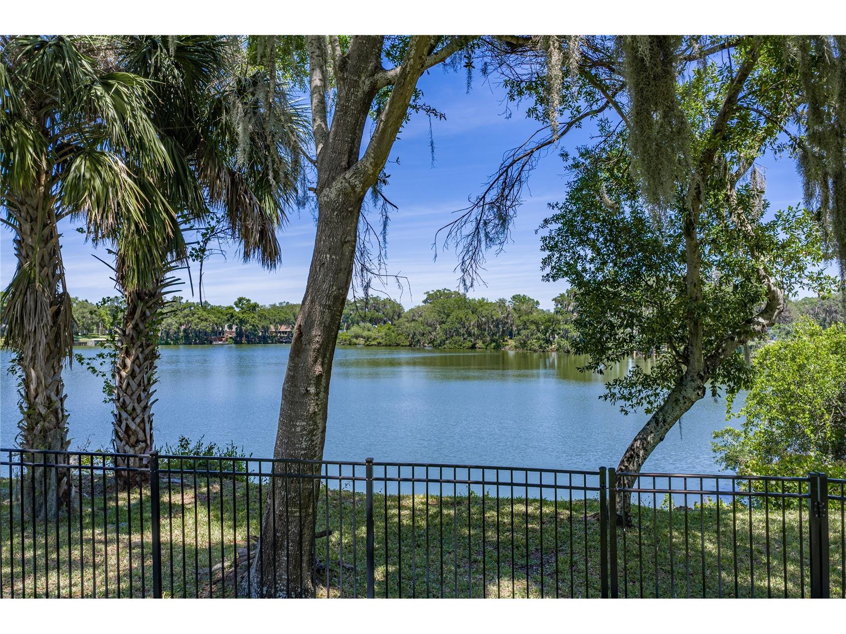 3167 Blackwater Oaks Way Mulberry FL 33860 - Blackwater TB8498703 image71