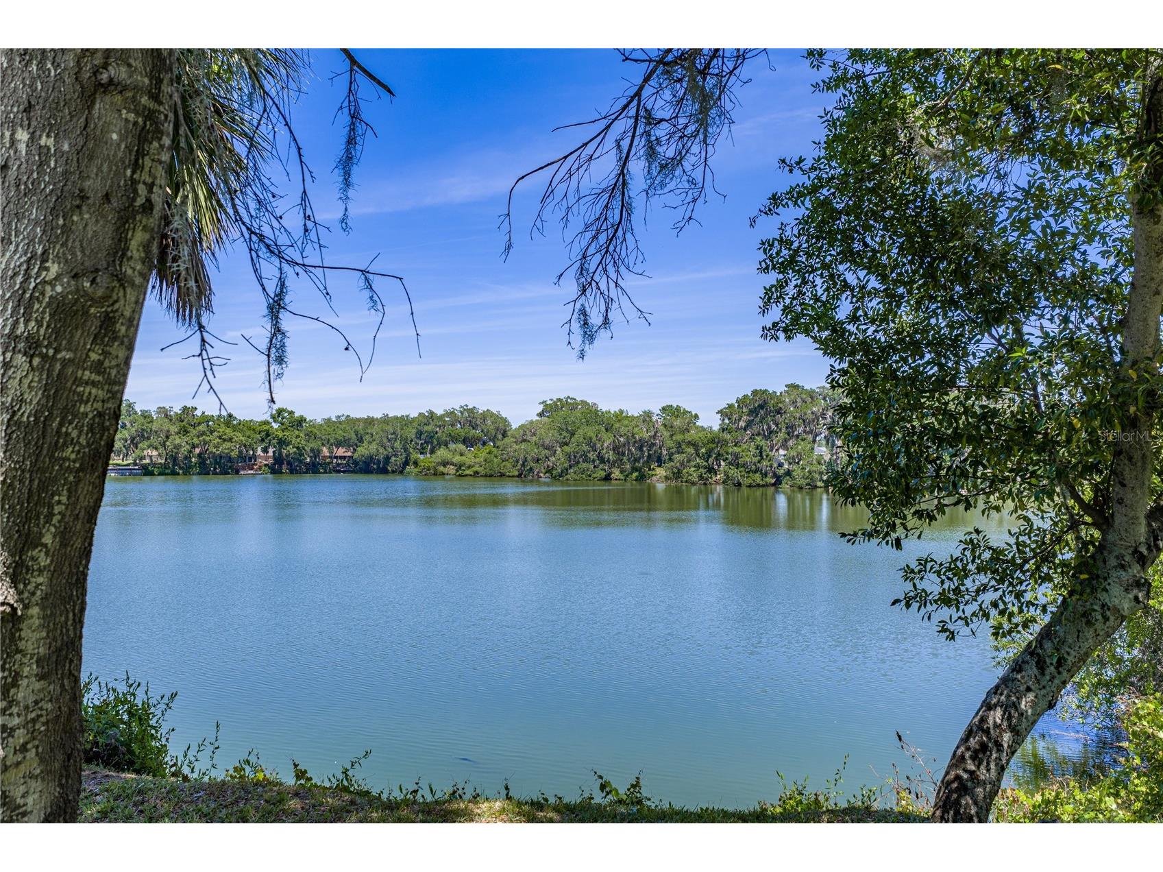 3167 Blackwater Oaks Way Mulberry FL 33860 - Blackwater TB8498703 image72