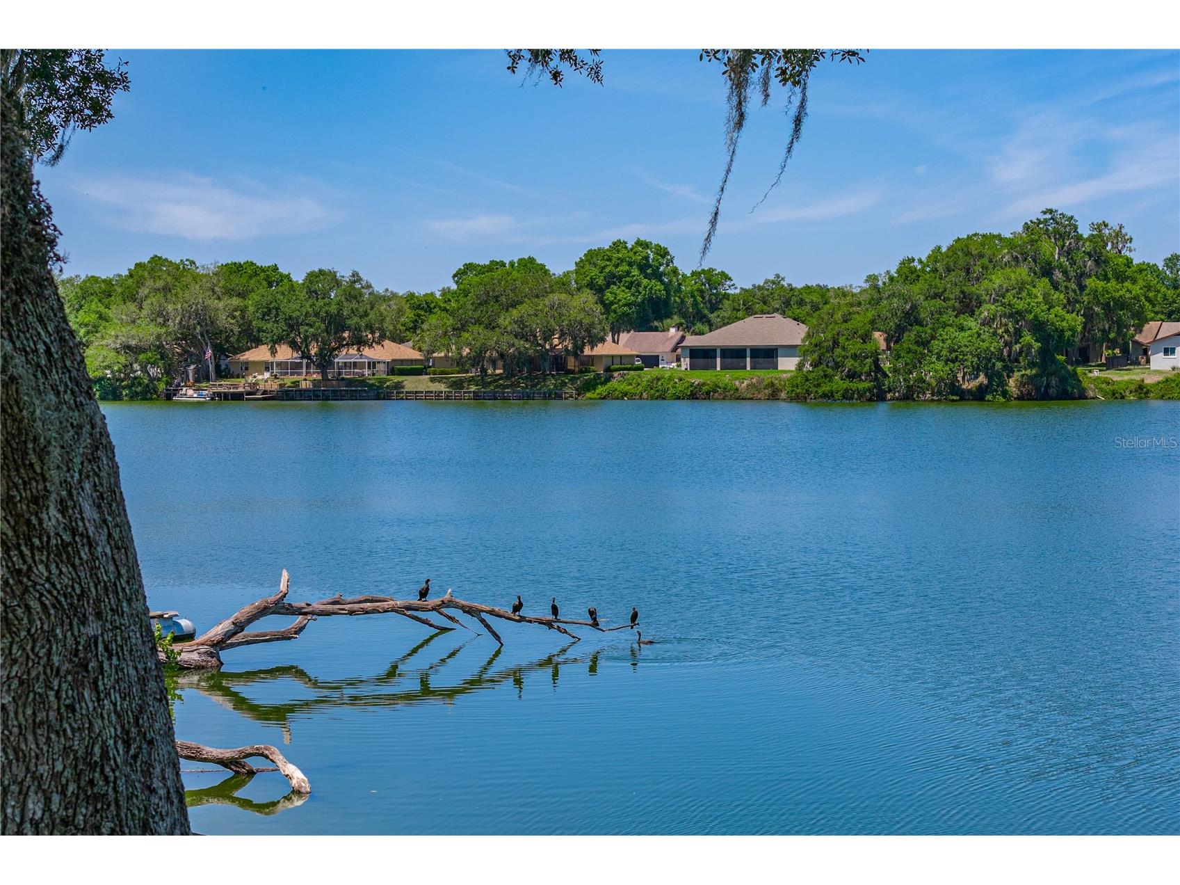 3167 Blackwater Oaks Way Mulberry FL 33860 - Blackwater TB8498703 image73