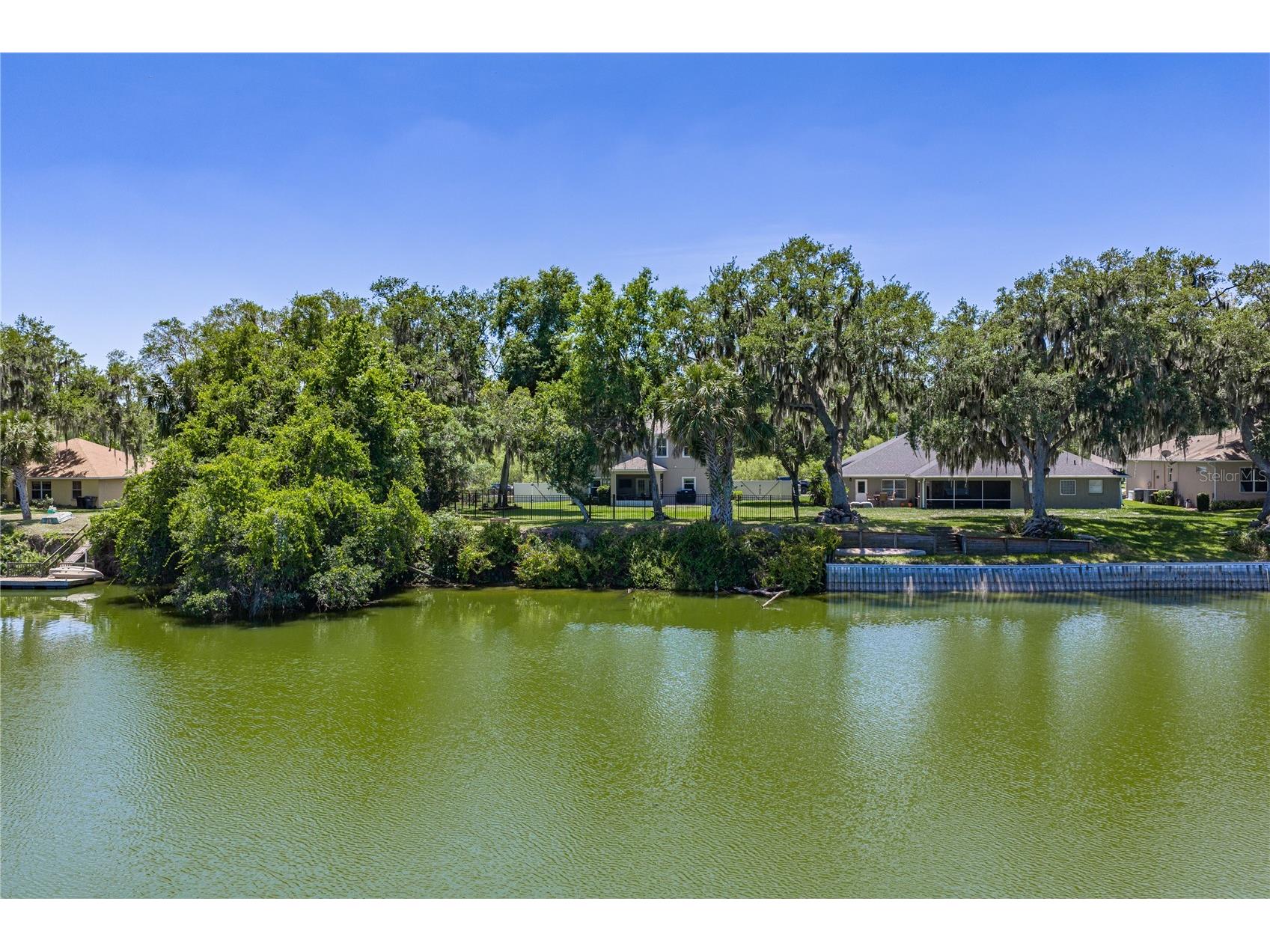 3167 Blackwater Oaks Way Mulberry FL 33860 - Blackwater TB8498703 image74
