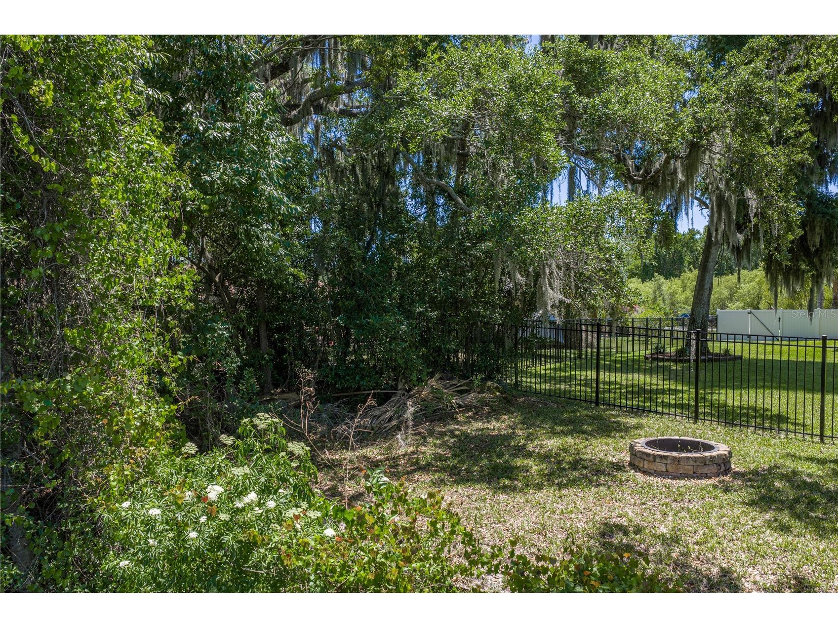 3167 Blackwater Oaks Way Mulberry FL 33860 - Blackwater TB8498703 image80