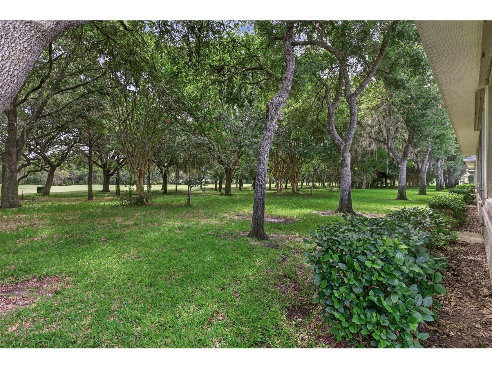 3167 Kailani Court Ormond Beach FL 32174 FC319884 image62