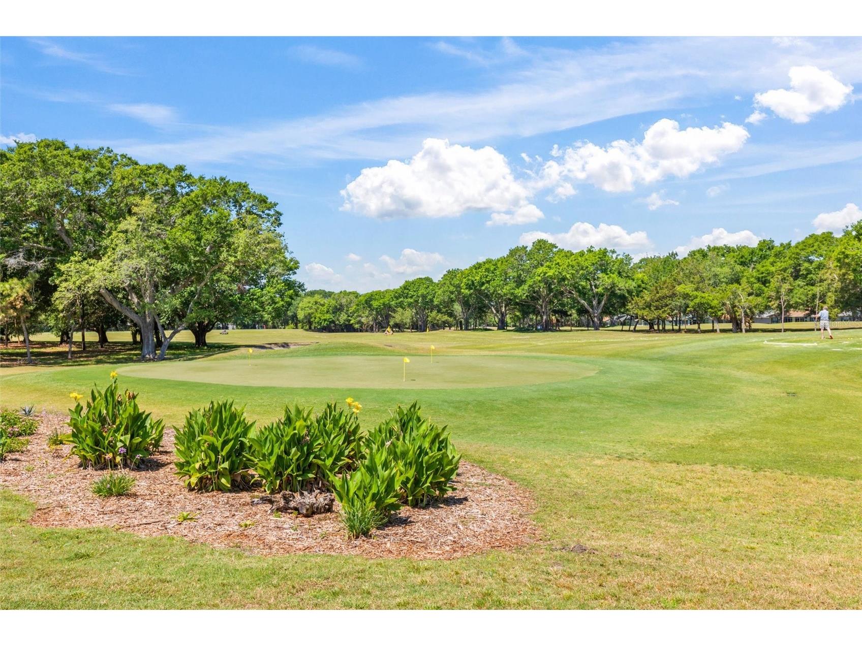 3167 Kailani Court Ormond Beach FL 32174 FC319884 image97