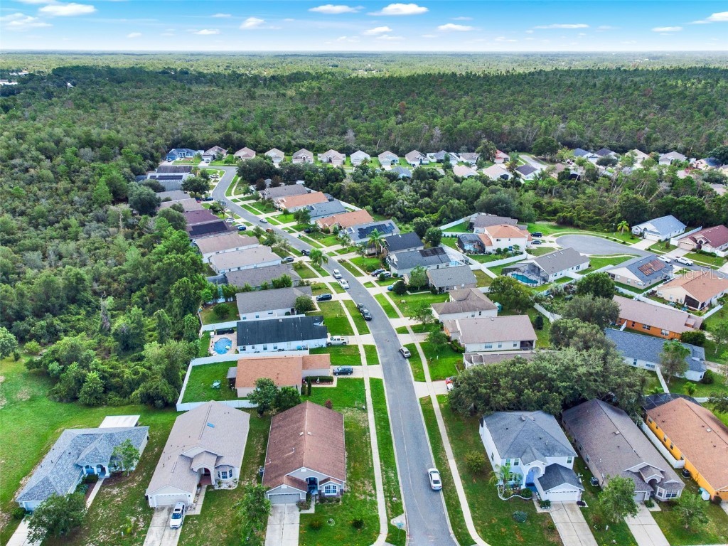 3167 Wood Rose Way Deltona FL 32725 O6326681 image27